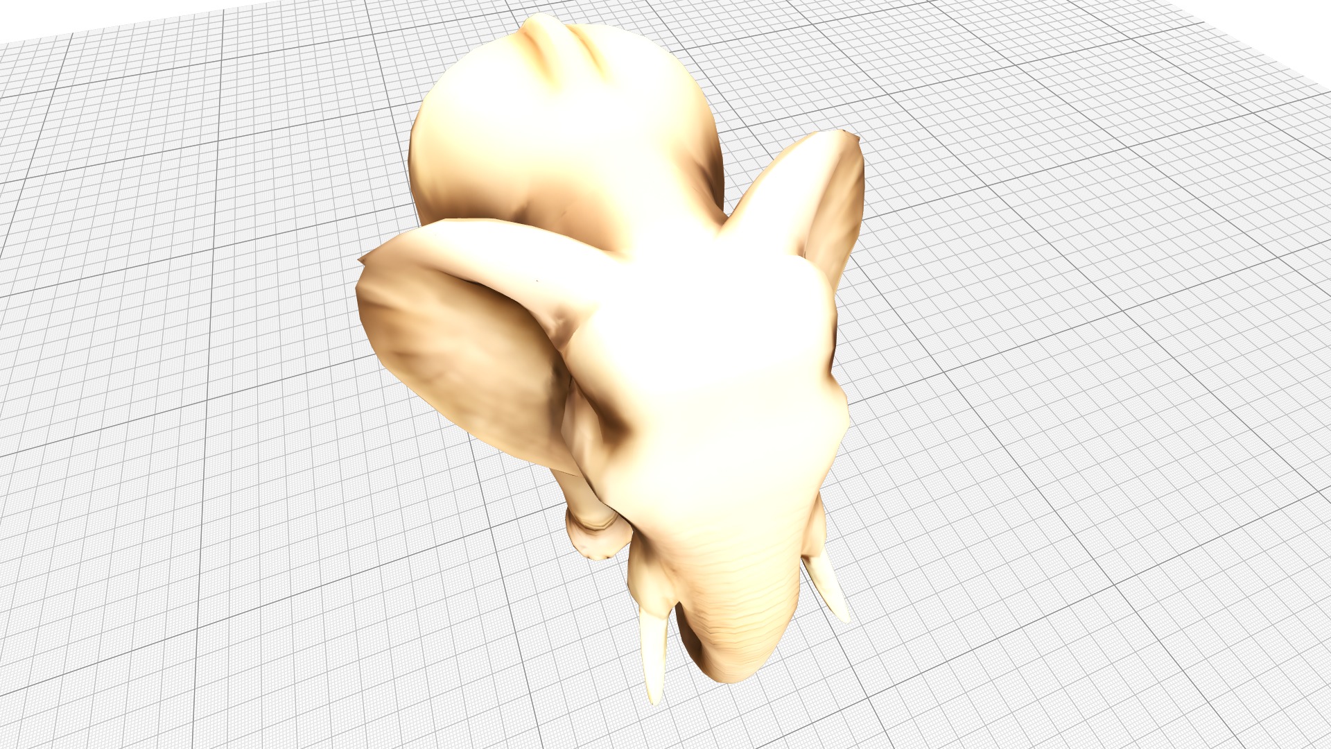 Elephant Realistic Lowpoly Low-poly 3D model_6