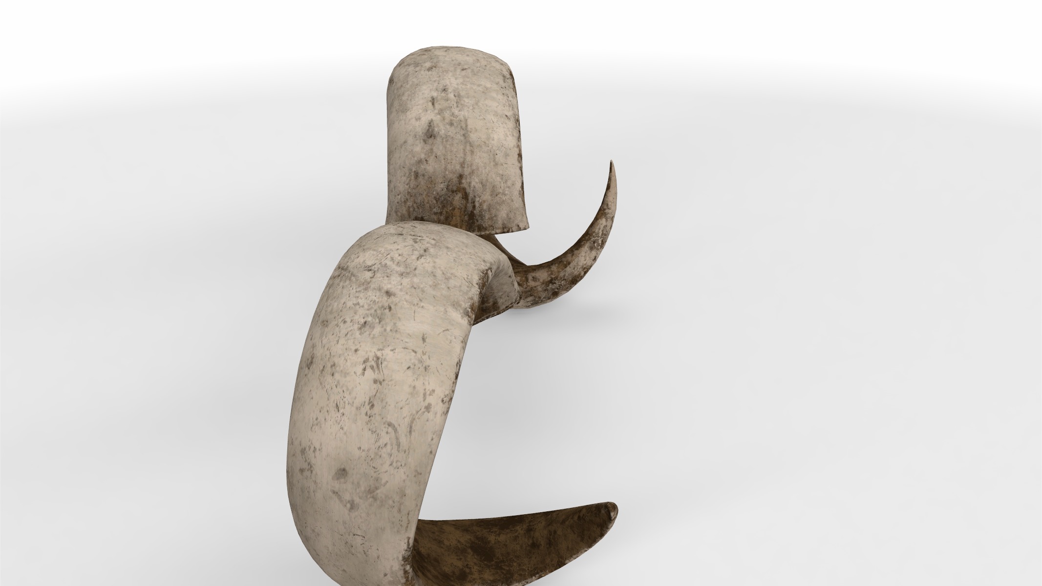 rolled horns 3D model_2
