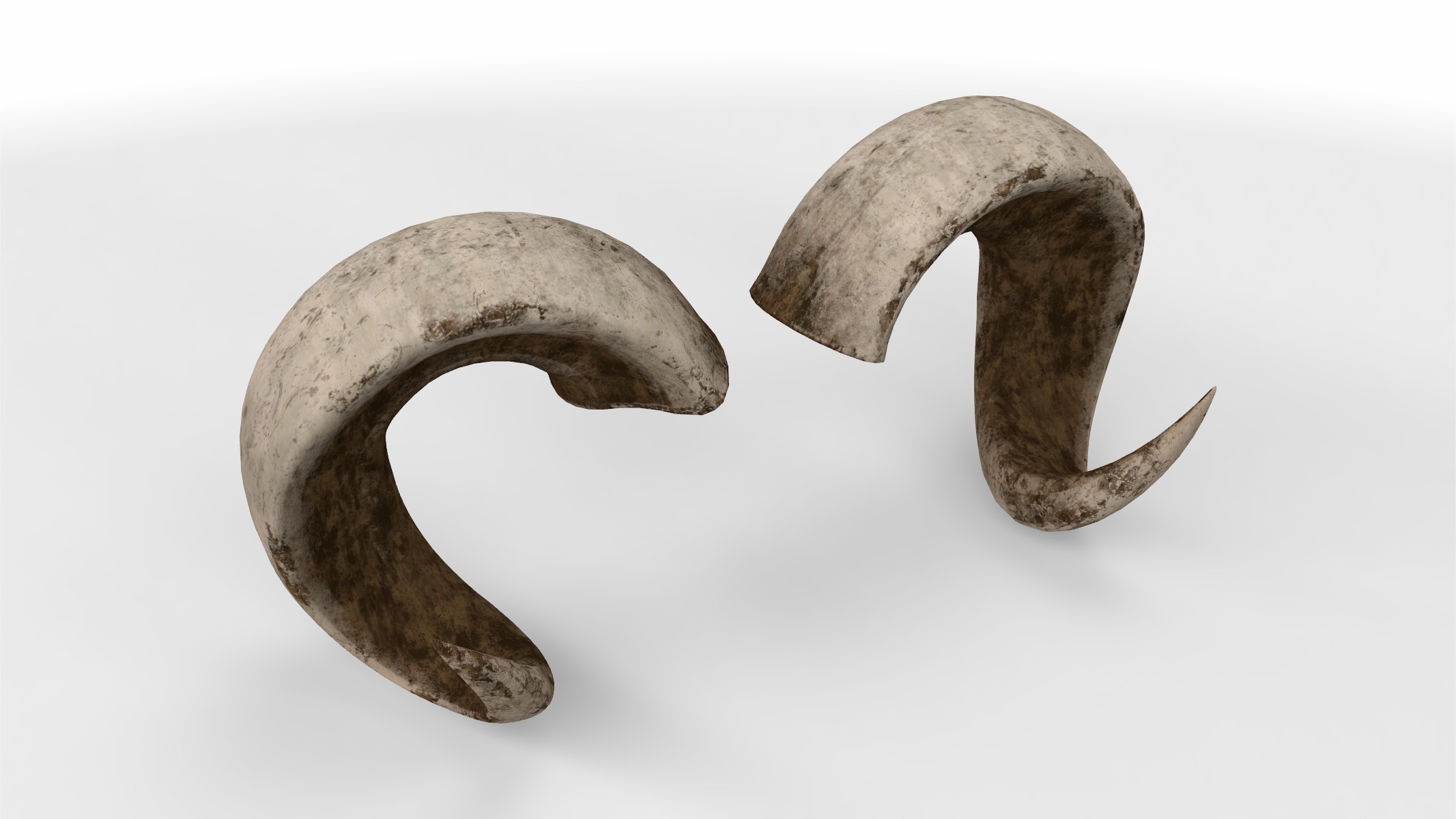 rolled horns 3D model_1