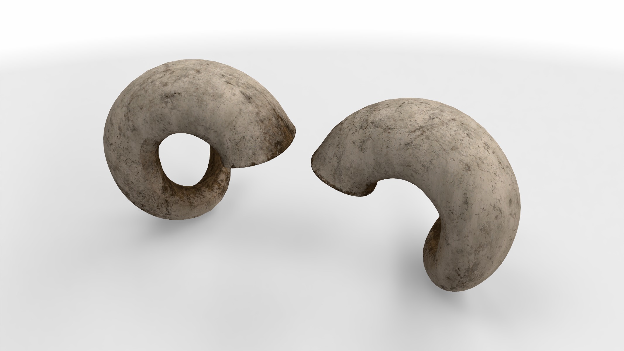 rolled horns 3D model_3