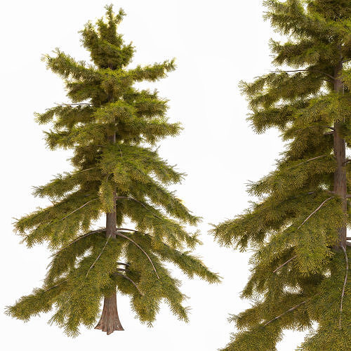 tree11 3D model