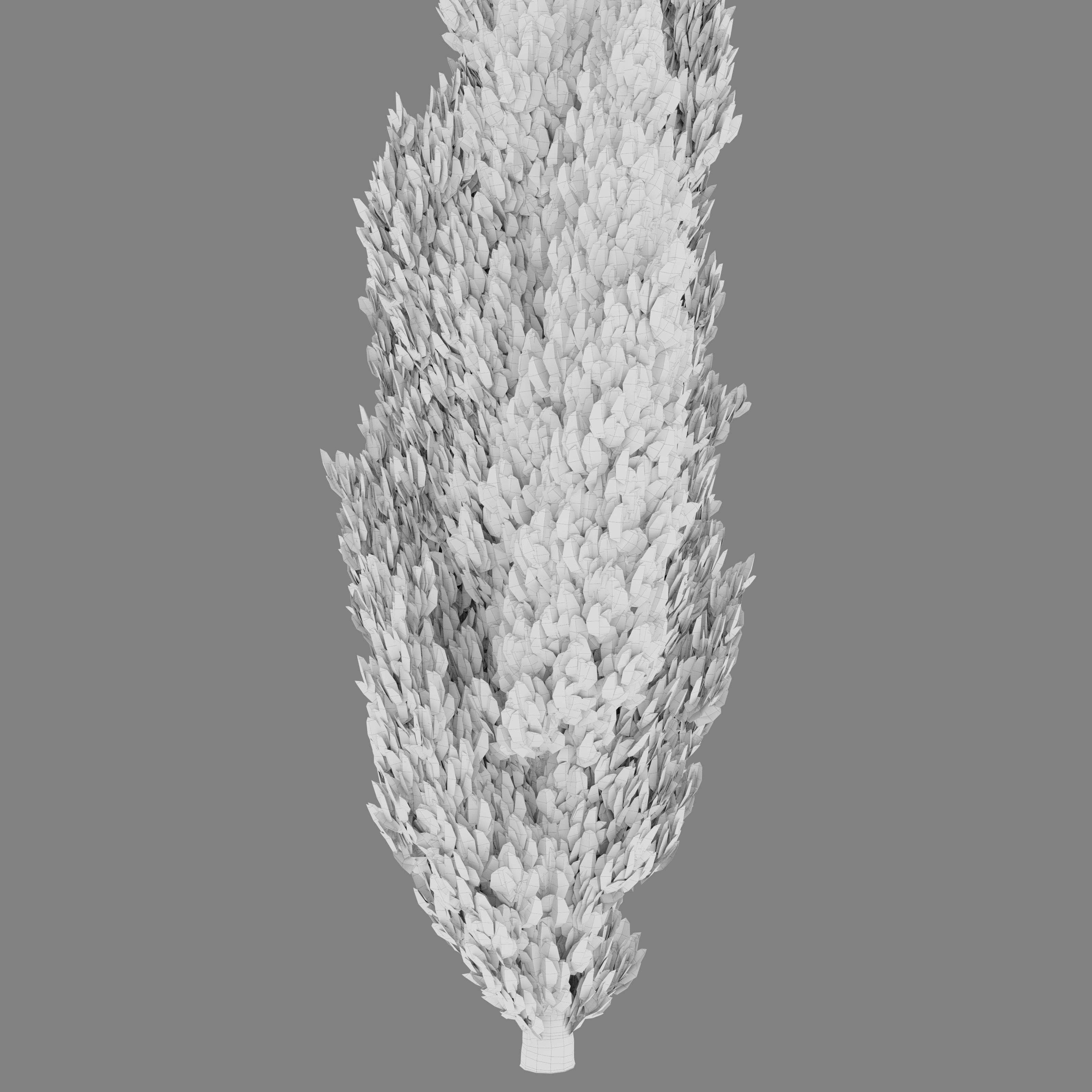 Italian Cypress 06 3D model_2