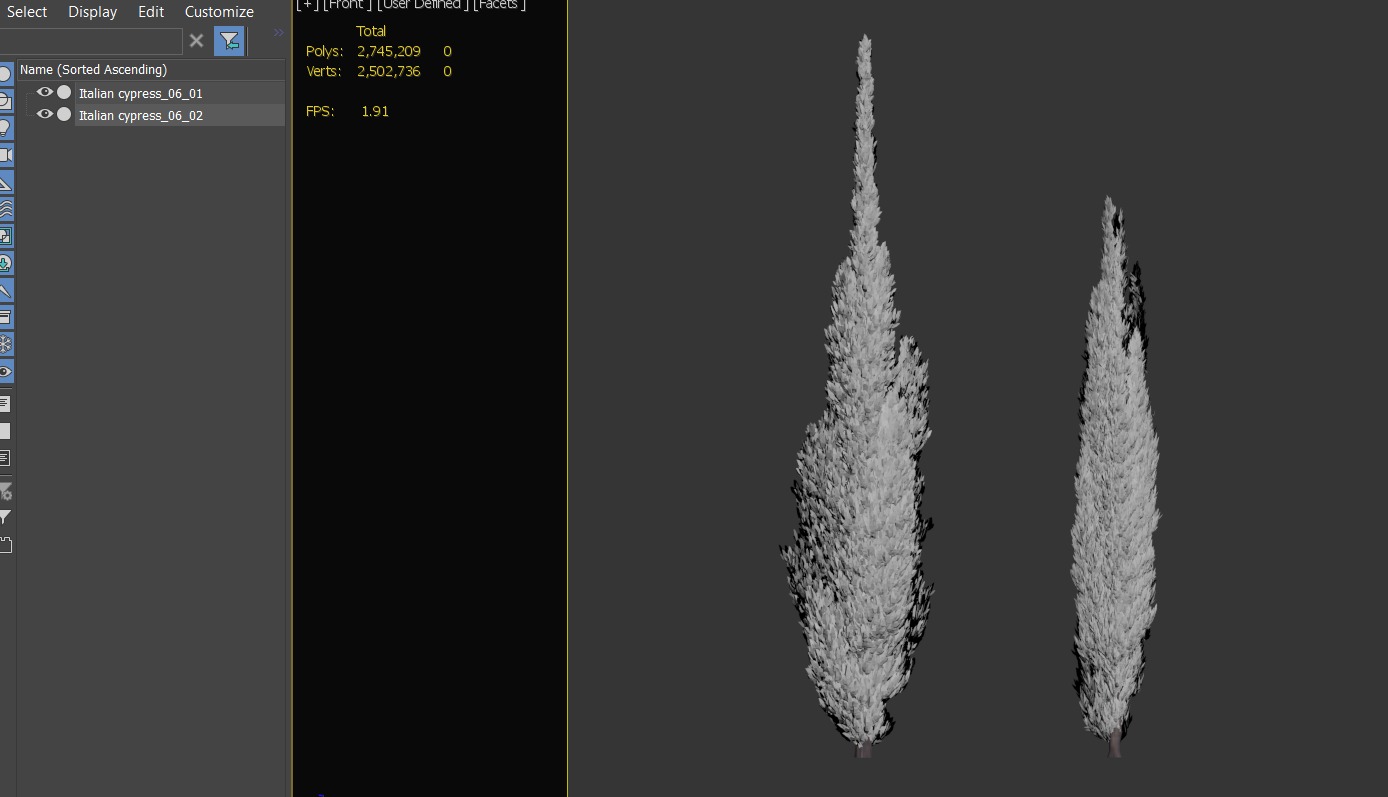 Italian Cypress 06 3D model_3