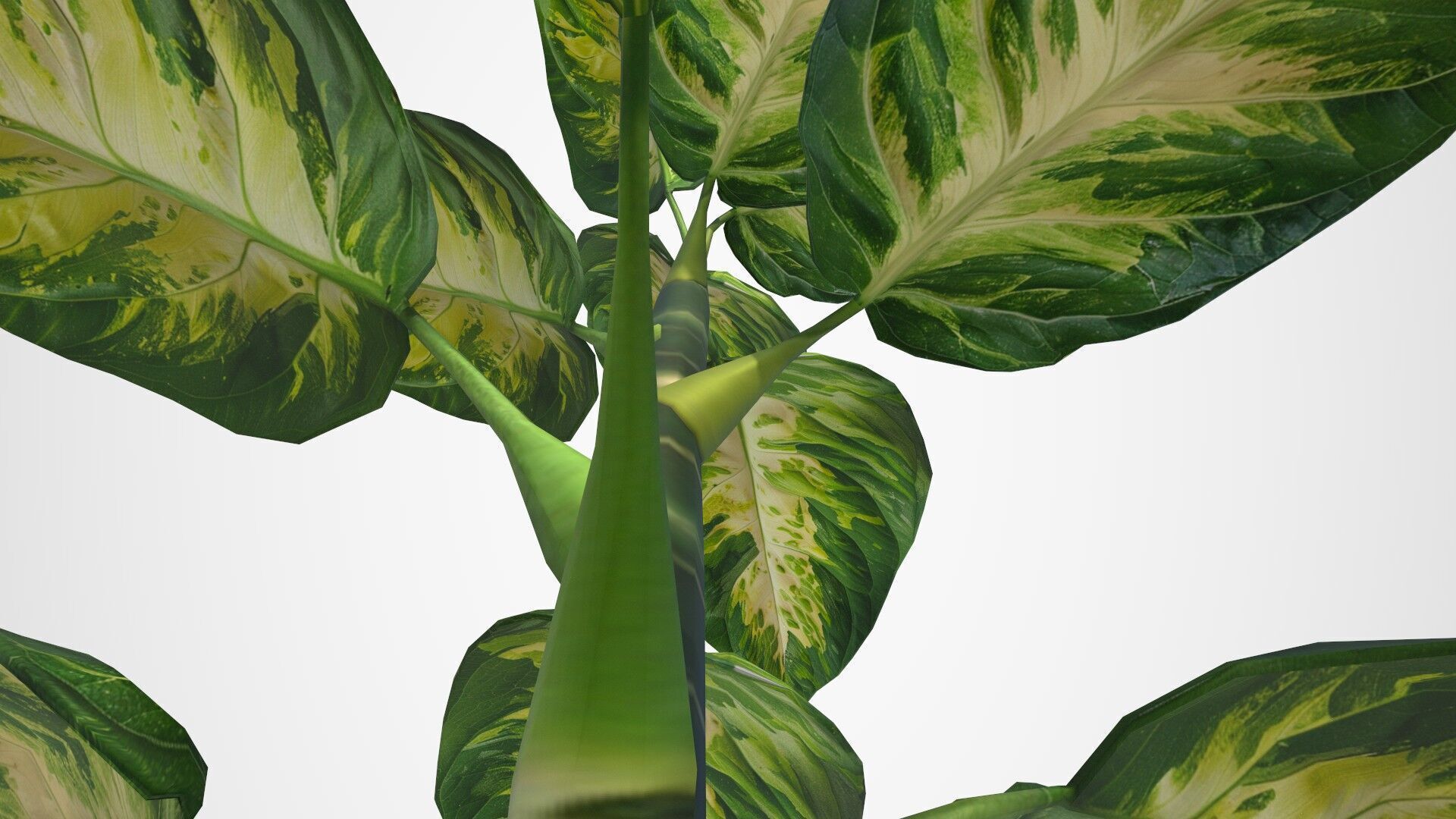 Ornate Flower Table DIEFFENBLOOM Low-poly 3D model_4