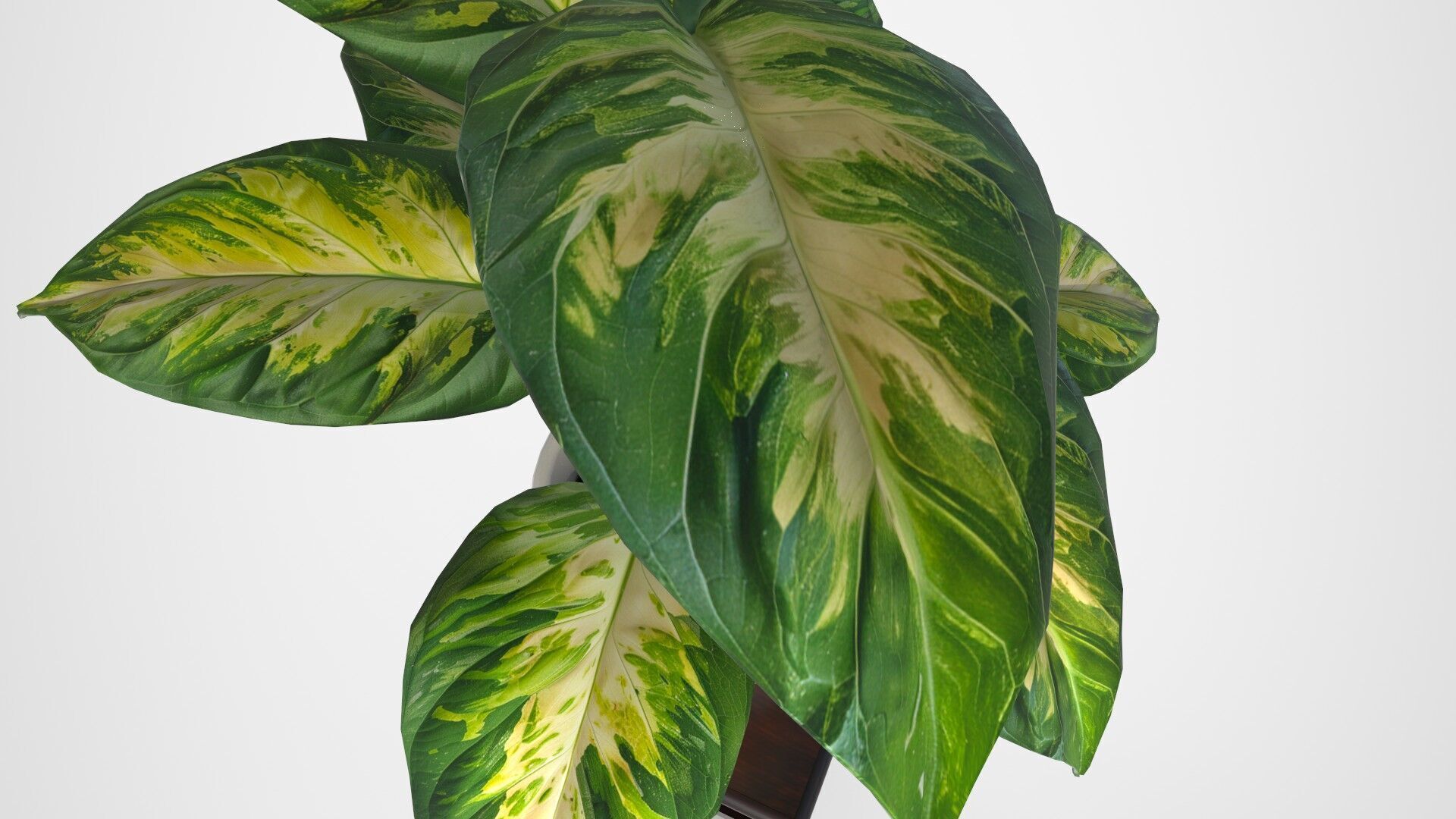 Ornate Flower Table DIEFFENBLOOM Low-poly 3D model_3