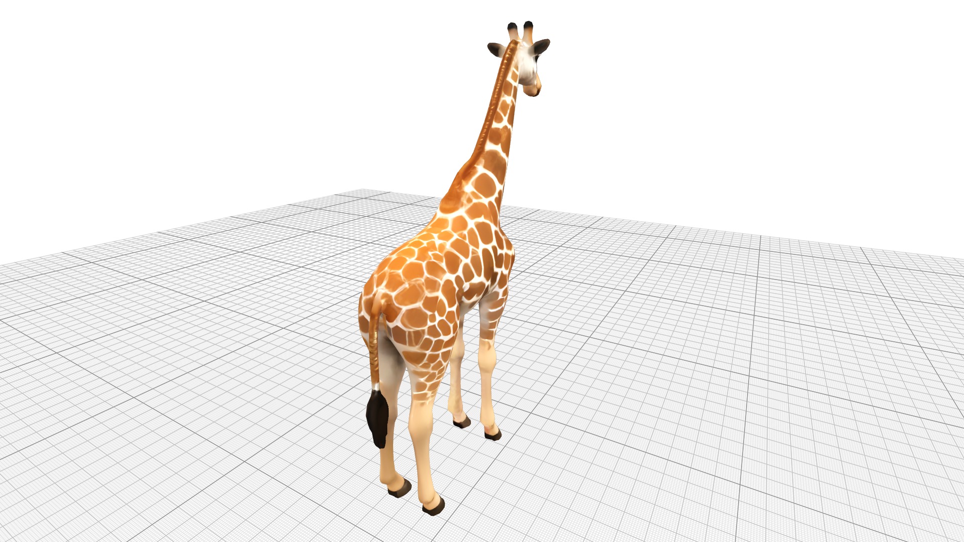 Giraffe Lowpoly Realistic Low-poly 3D model_9