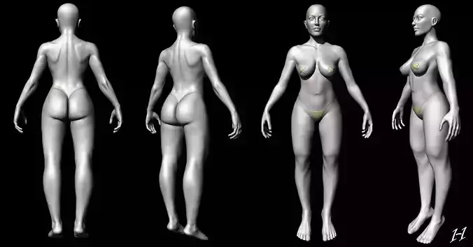 Female Anatomy Study in Zbrush 