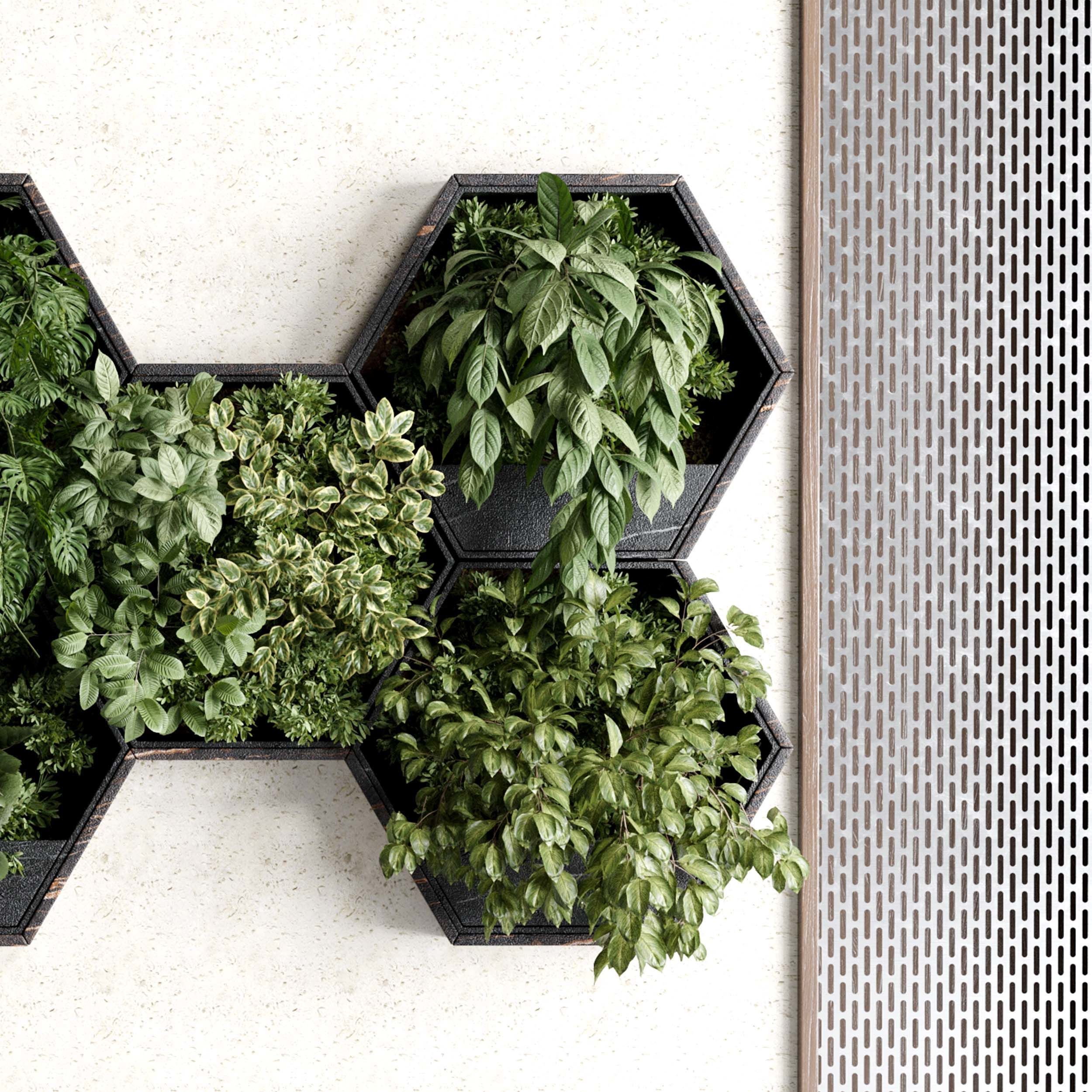 Vertical Wall Garden hanging plants on Hexagon Green set 99 3D model_3
