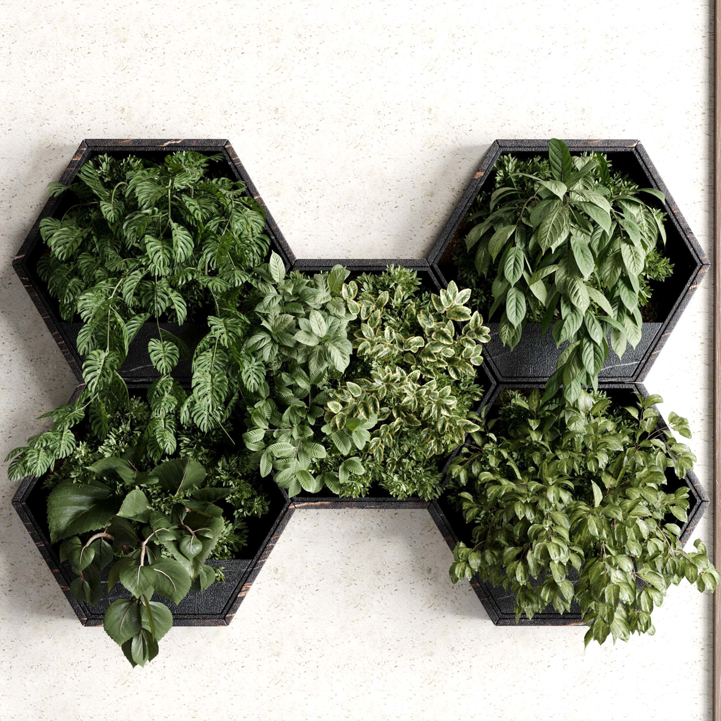 Vertical Wall Garden hanging plants on Hexagon Green set 99 3D model_4