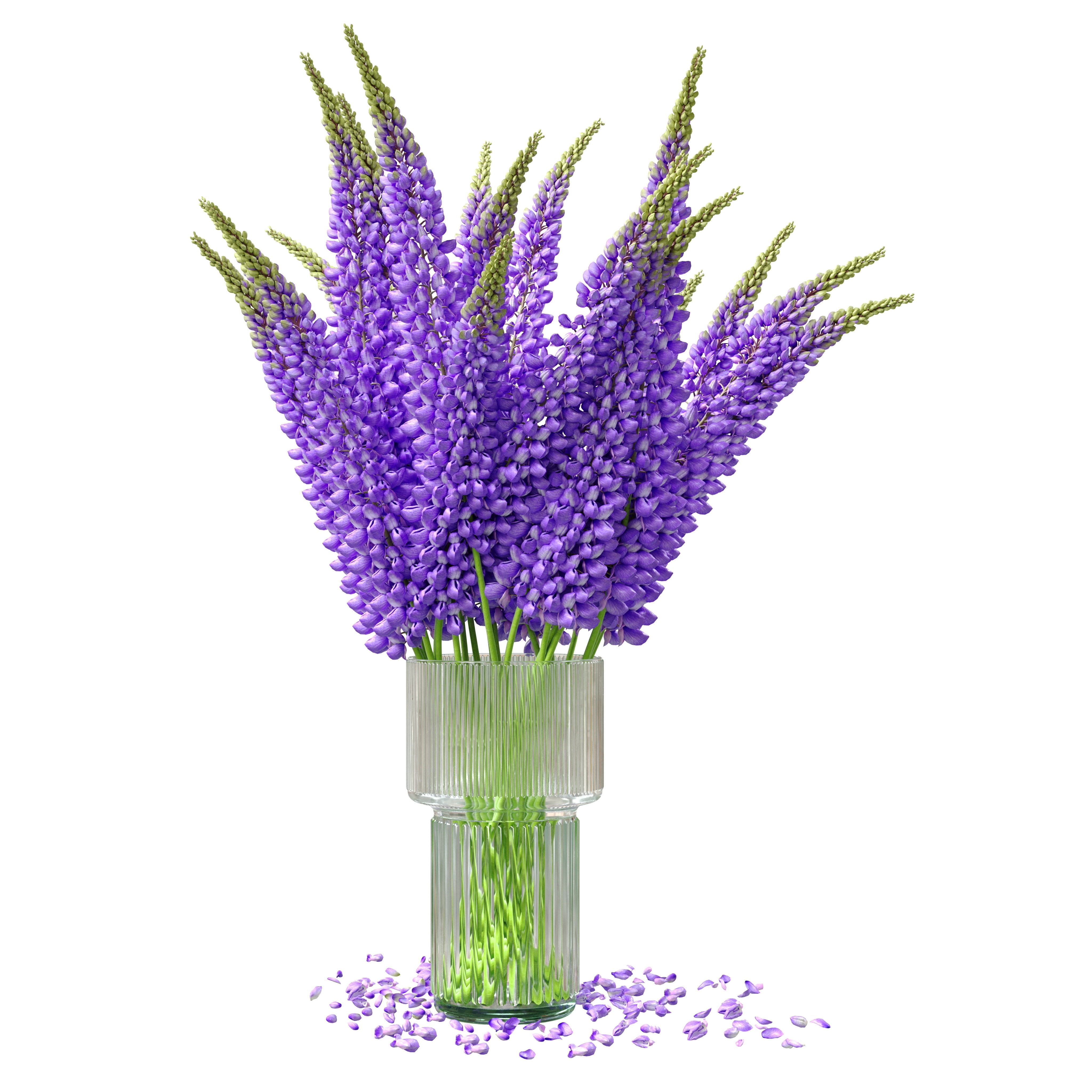 Bouquet of lupinus flowers 3D model_5