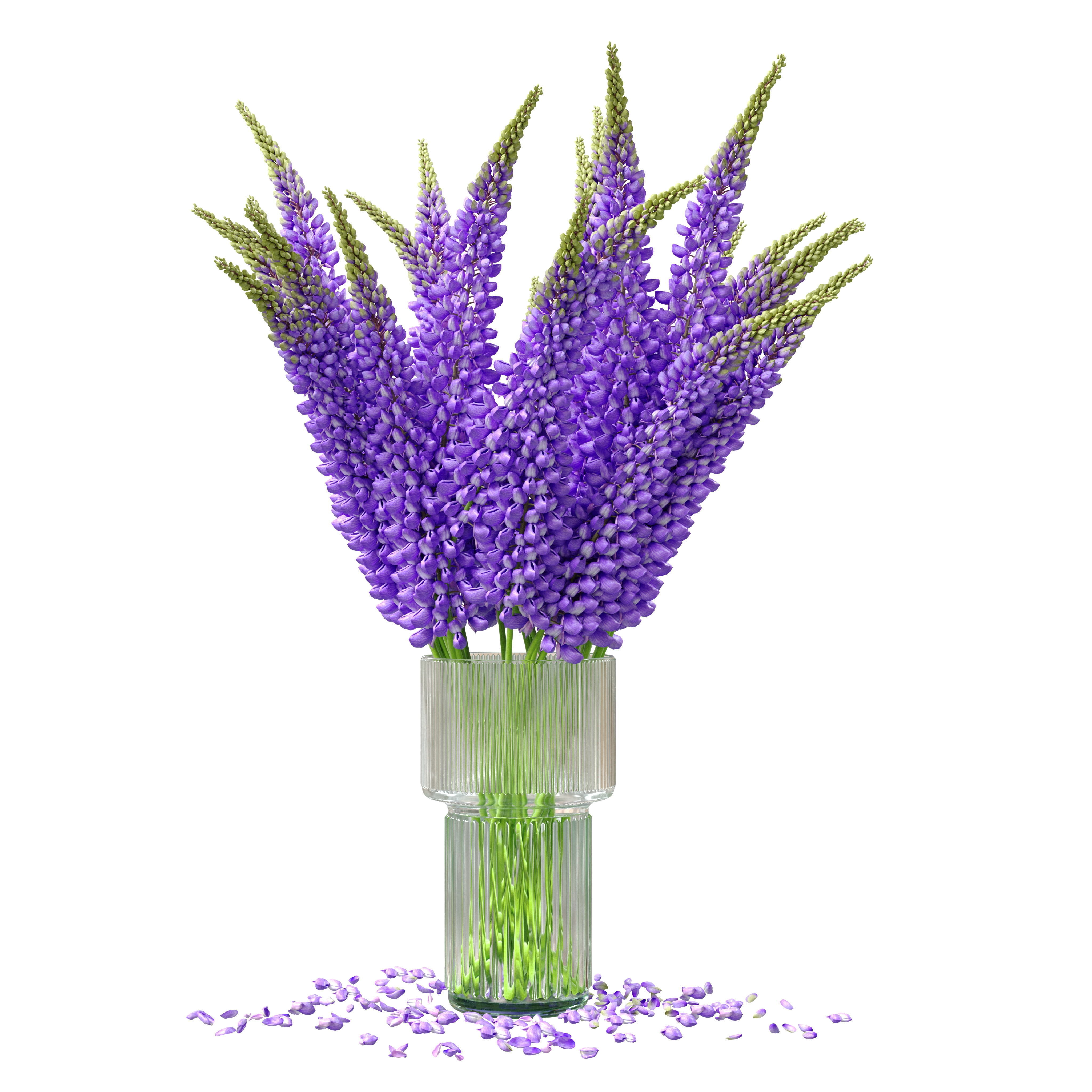 Bouquet of lupinus flowers 3D model_11