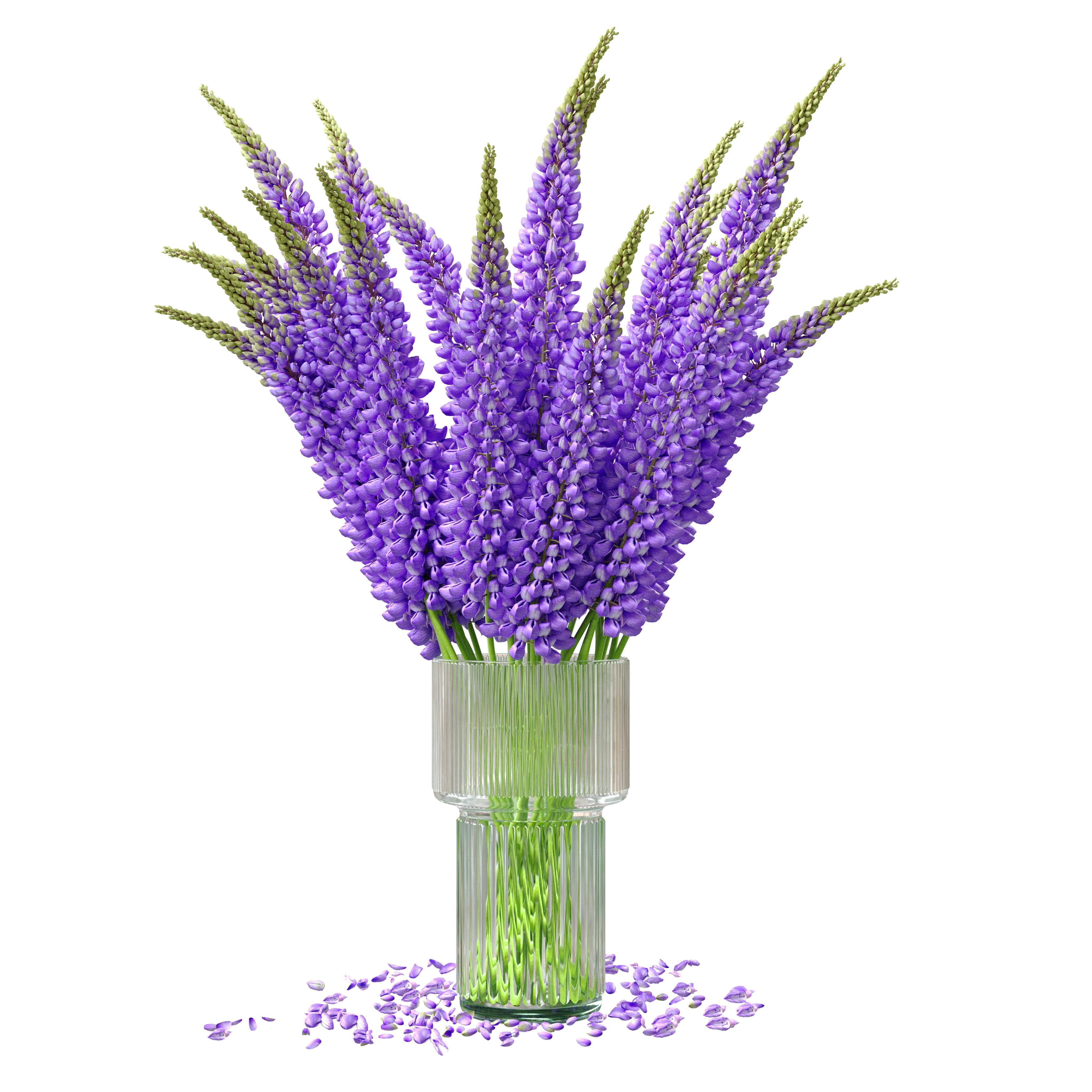 Bouquet of lupinus flowers 3D model_17