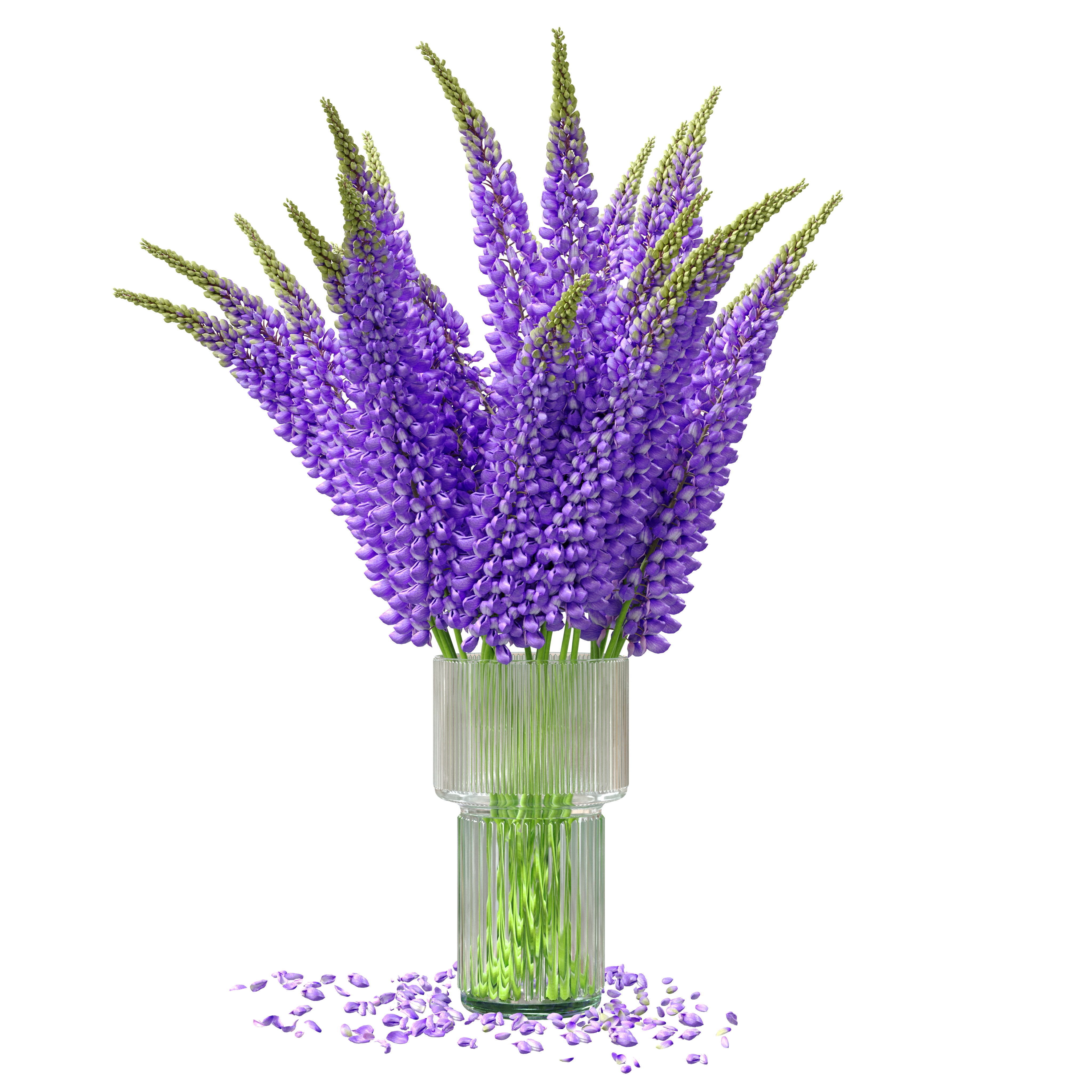 Bouquet of lupinus flowers 3D model_13