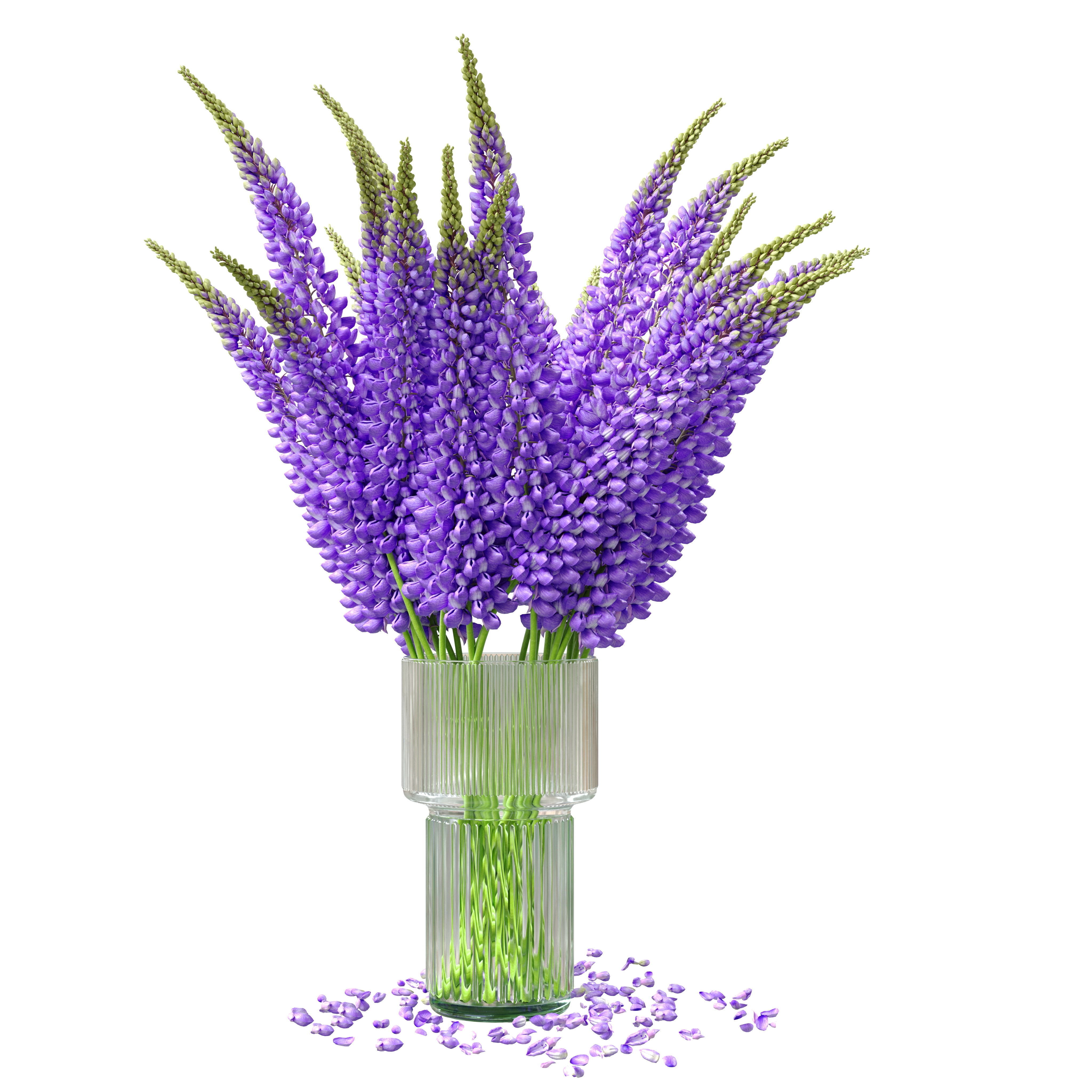Bouquet of lupinus flowers 3D model_7