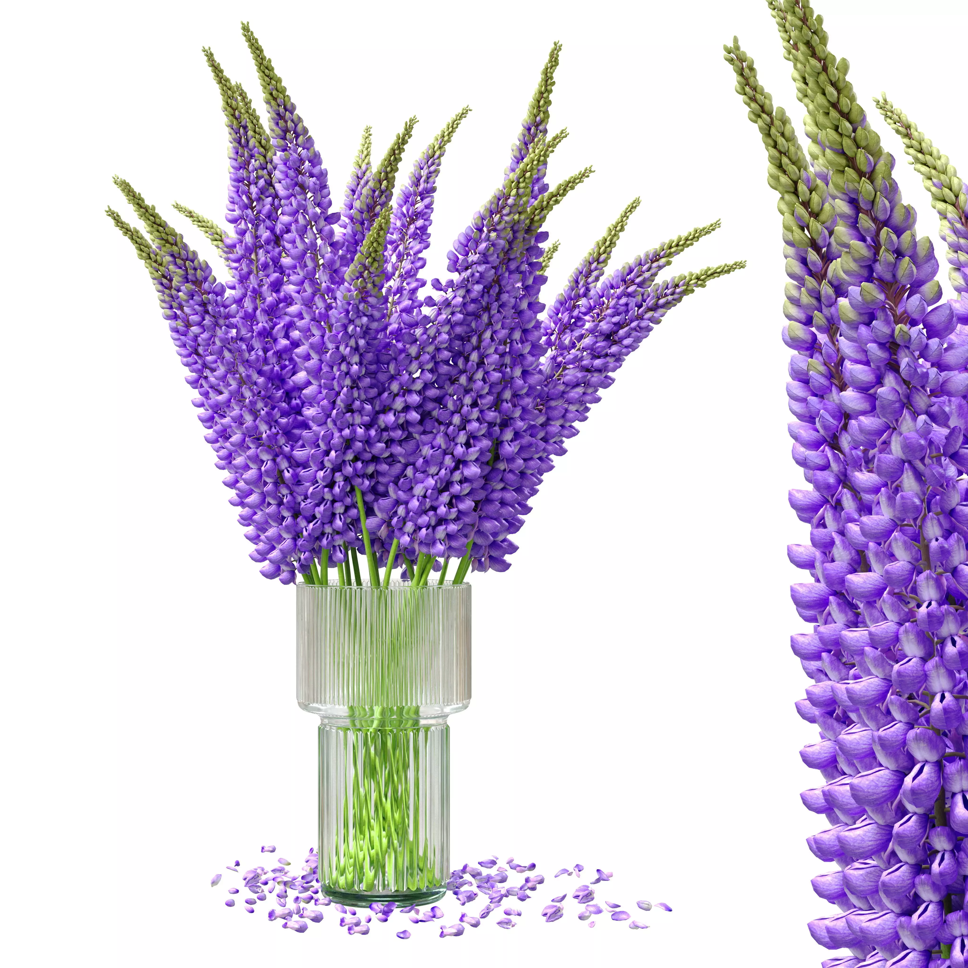 Bouquet of lupinus flowers 3D model_0