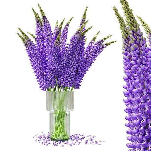 Bouquet of lupinus flowers 3D model