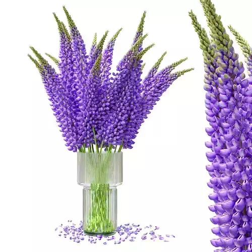 Bouquet of lupinus flowers 3D model