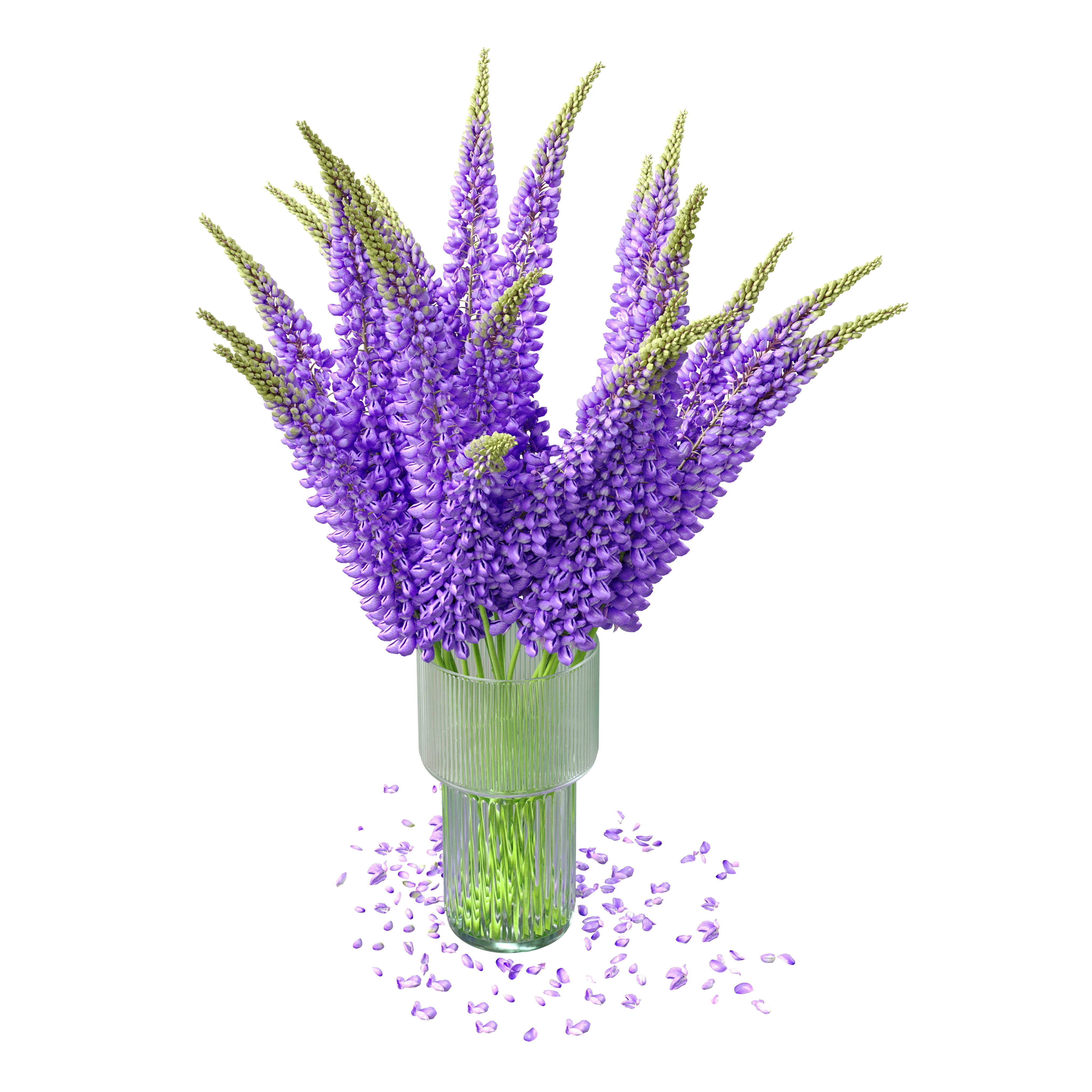 Bouquet of lupinus flowers 3D model_3