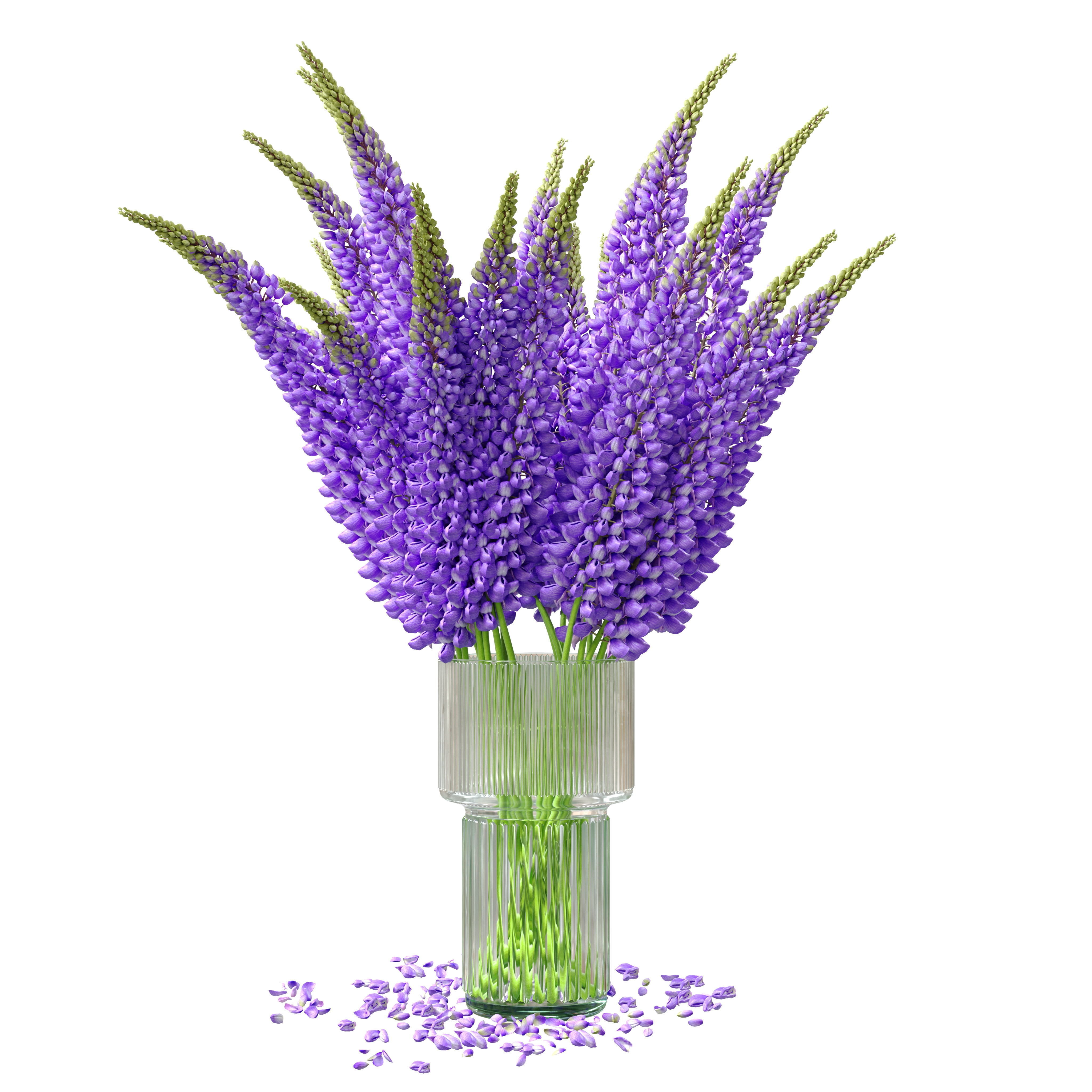 Bouquet of lupinus flowers 3D model_15