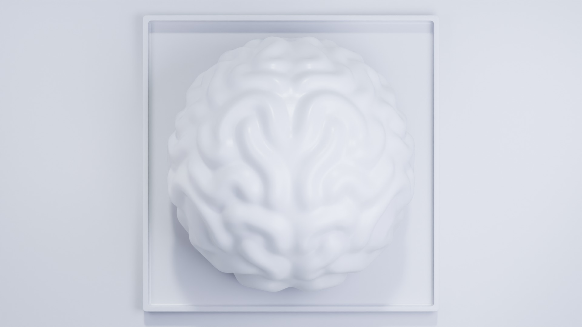 Stylized Human Brain - Project File Blender 3D model_15