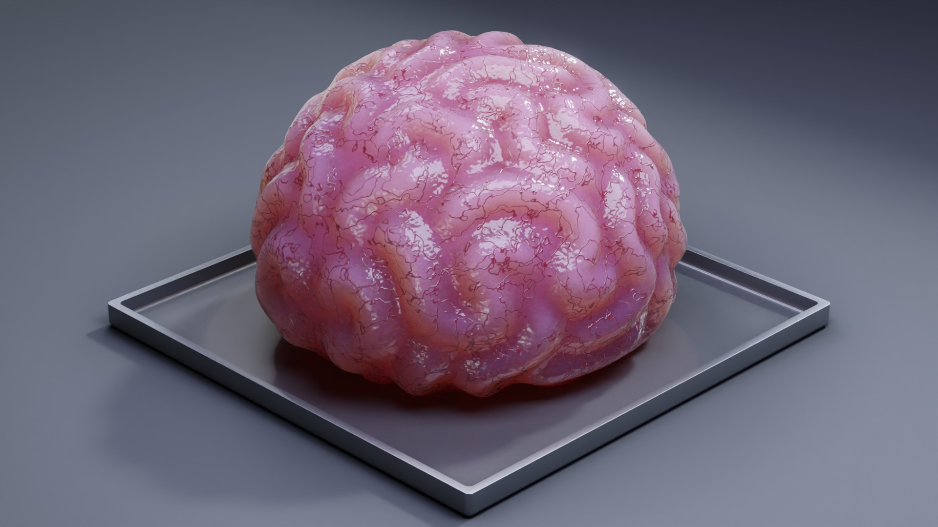 Stylized Human Brain - Project File Blender 3D model_2
