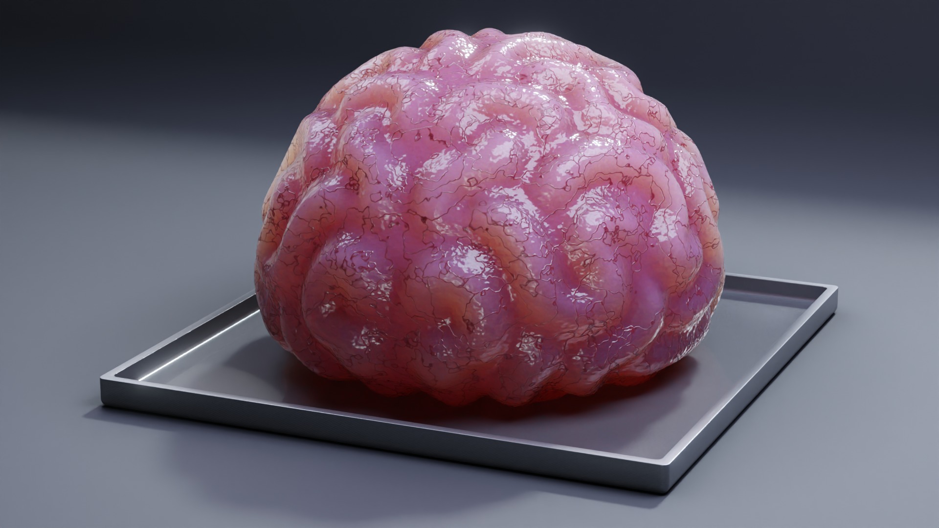 Stylized Human Brain - Project File Blender 3D model_9