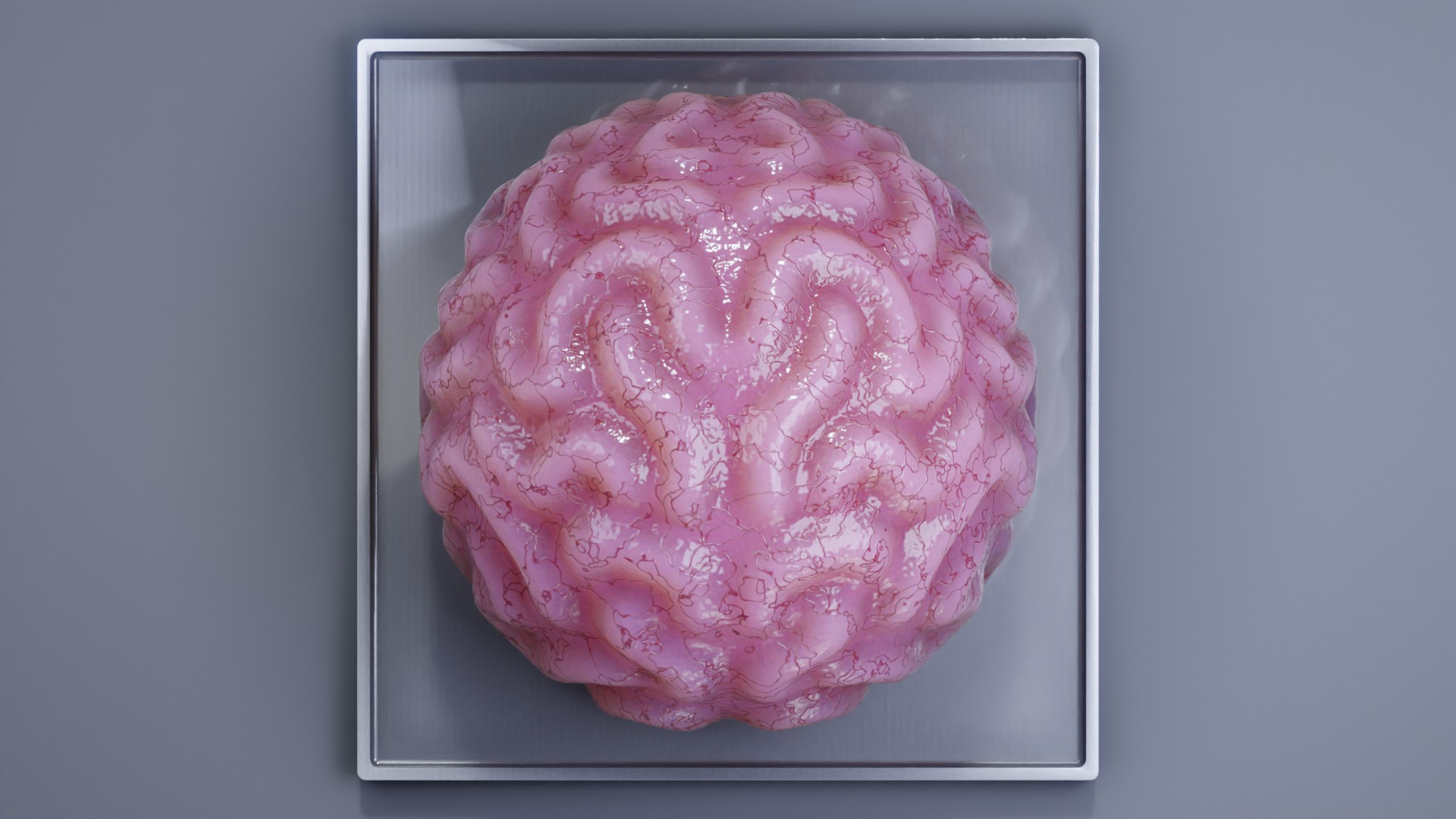 Stylized Human Brain - Project File Blender 3D model_6