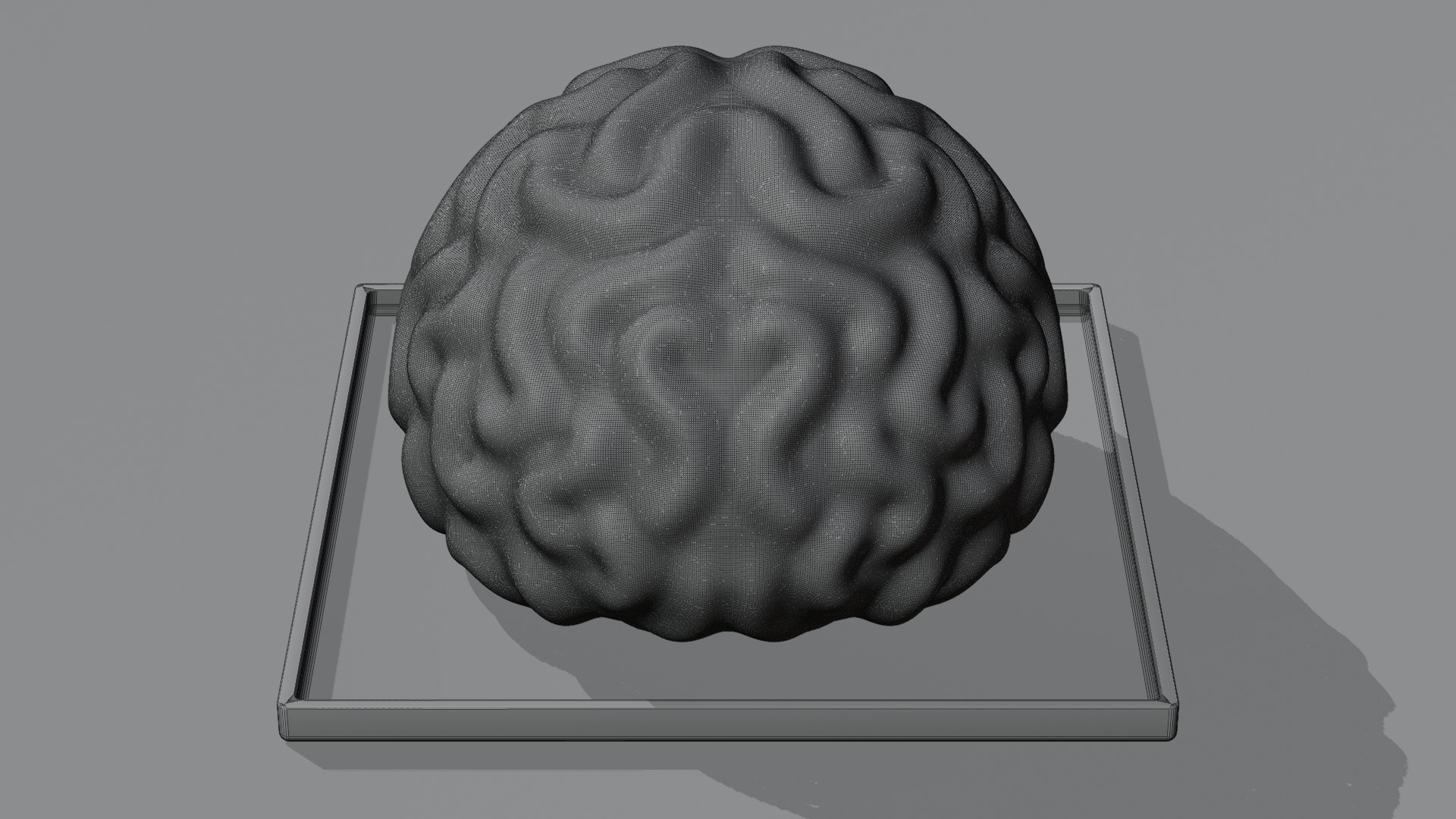 Stylized Human Brain - Project File Blender 3D model_25