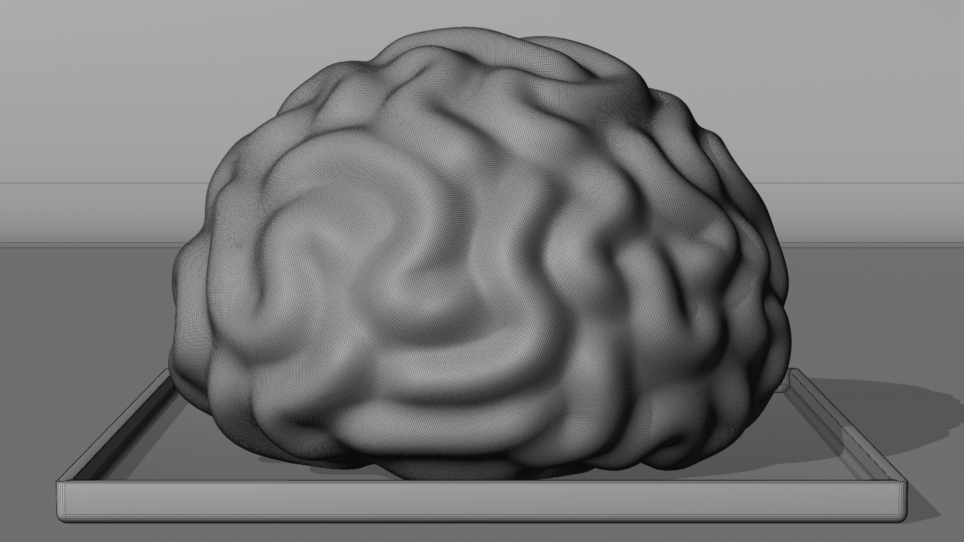 Stylized Human Brain - Project File Blender 3D model_23