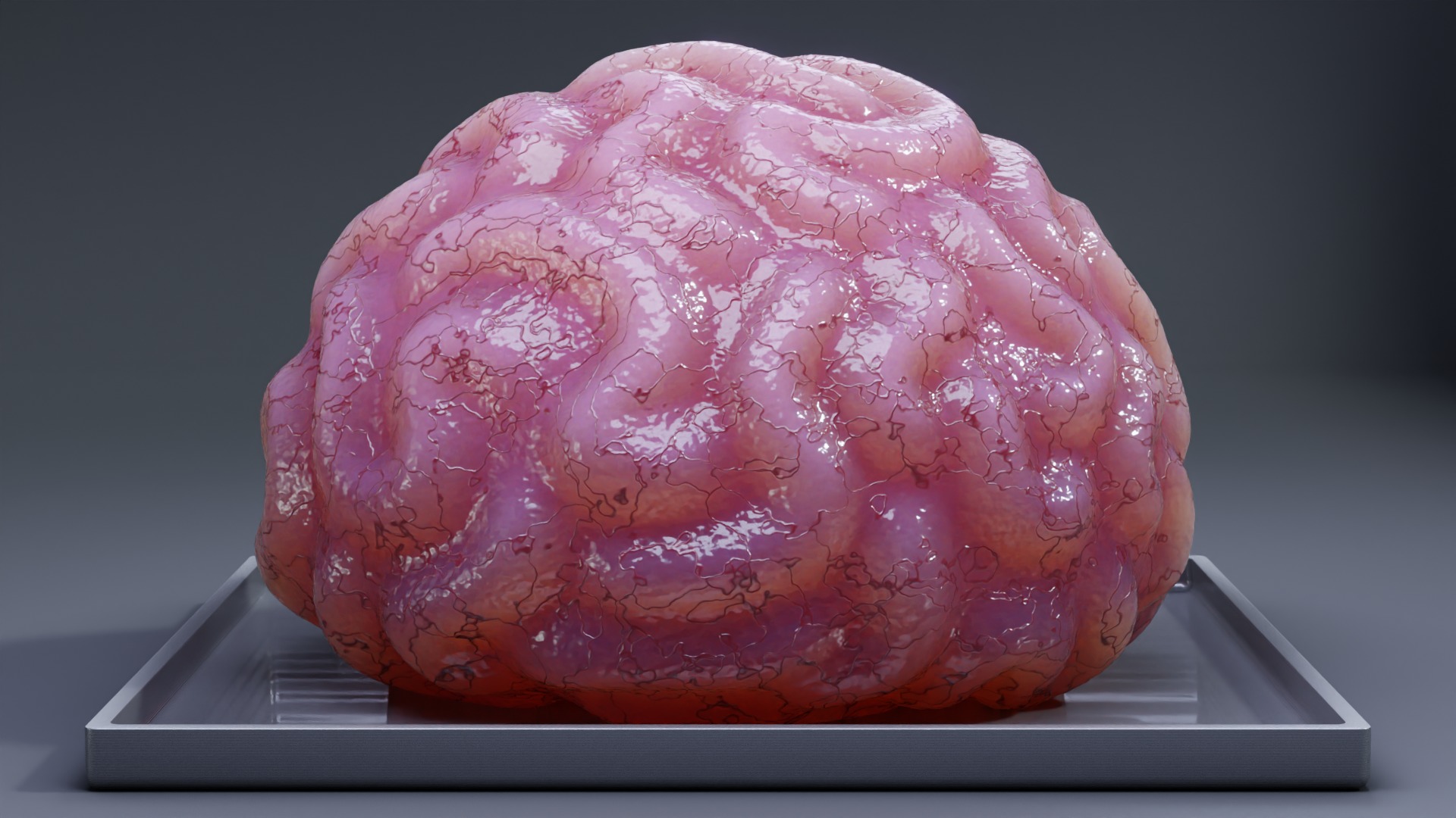 Stylized Human Brain - Project File Blender 3D model_5
