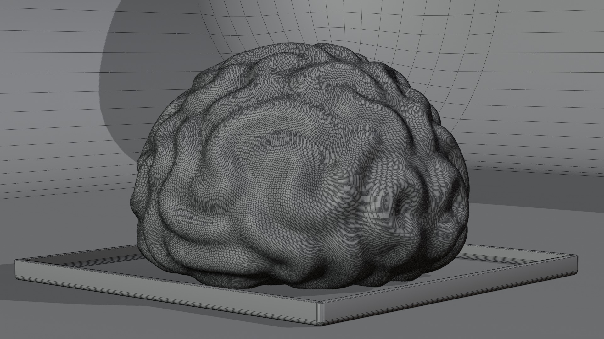Stylized Human Brain - Project File Blender 3D model_28