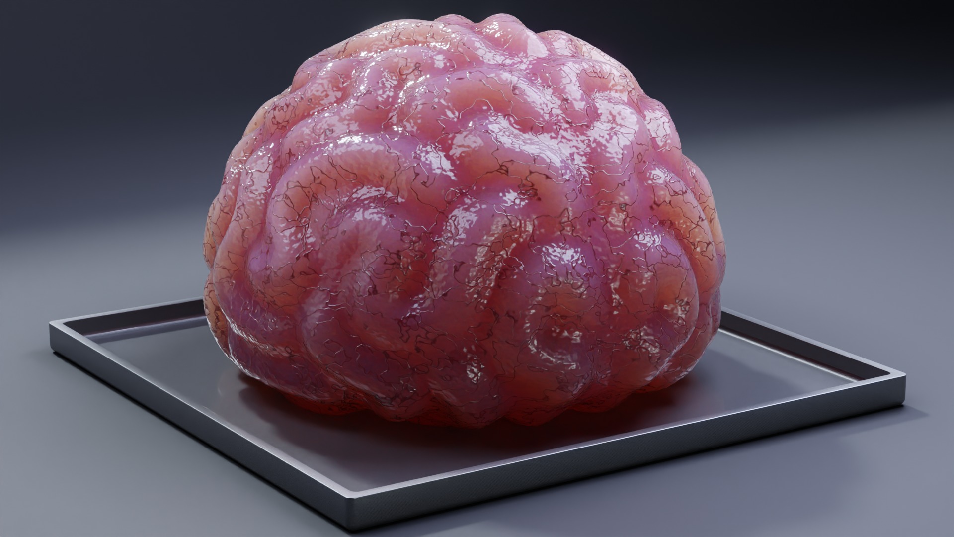 Stylized Human Brain - Project File Blender 3D model_3