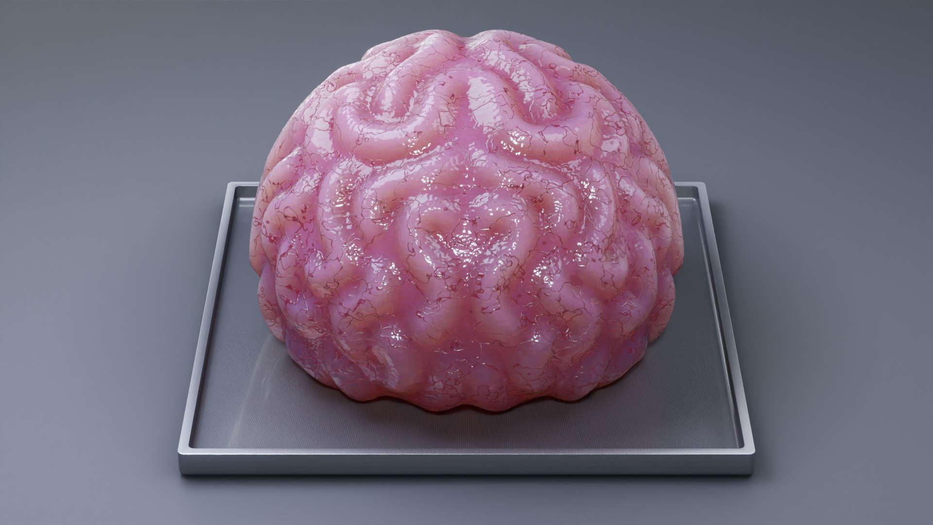 Stylized Human Brain - Project File Blender 3D model_7