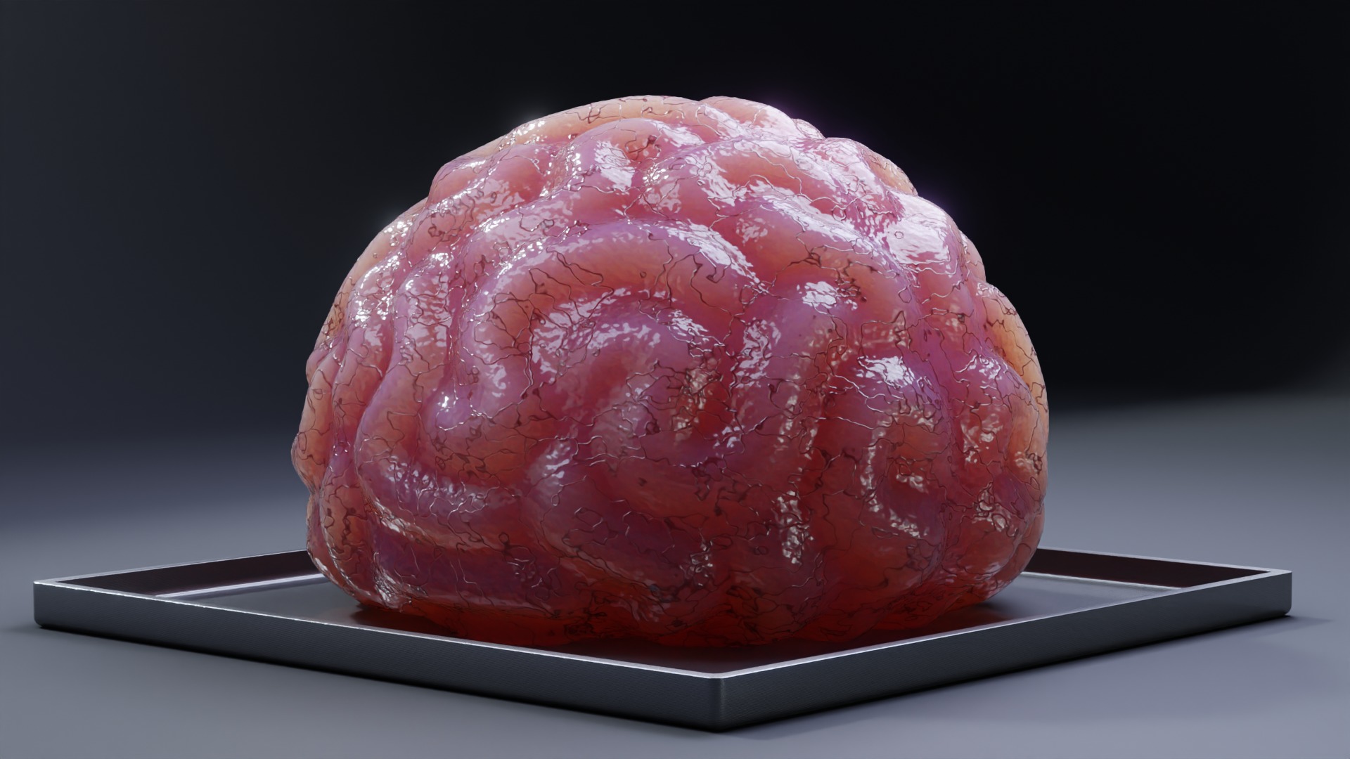Stylized Human Brain - Project File Blender 3D model_10