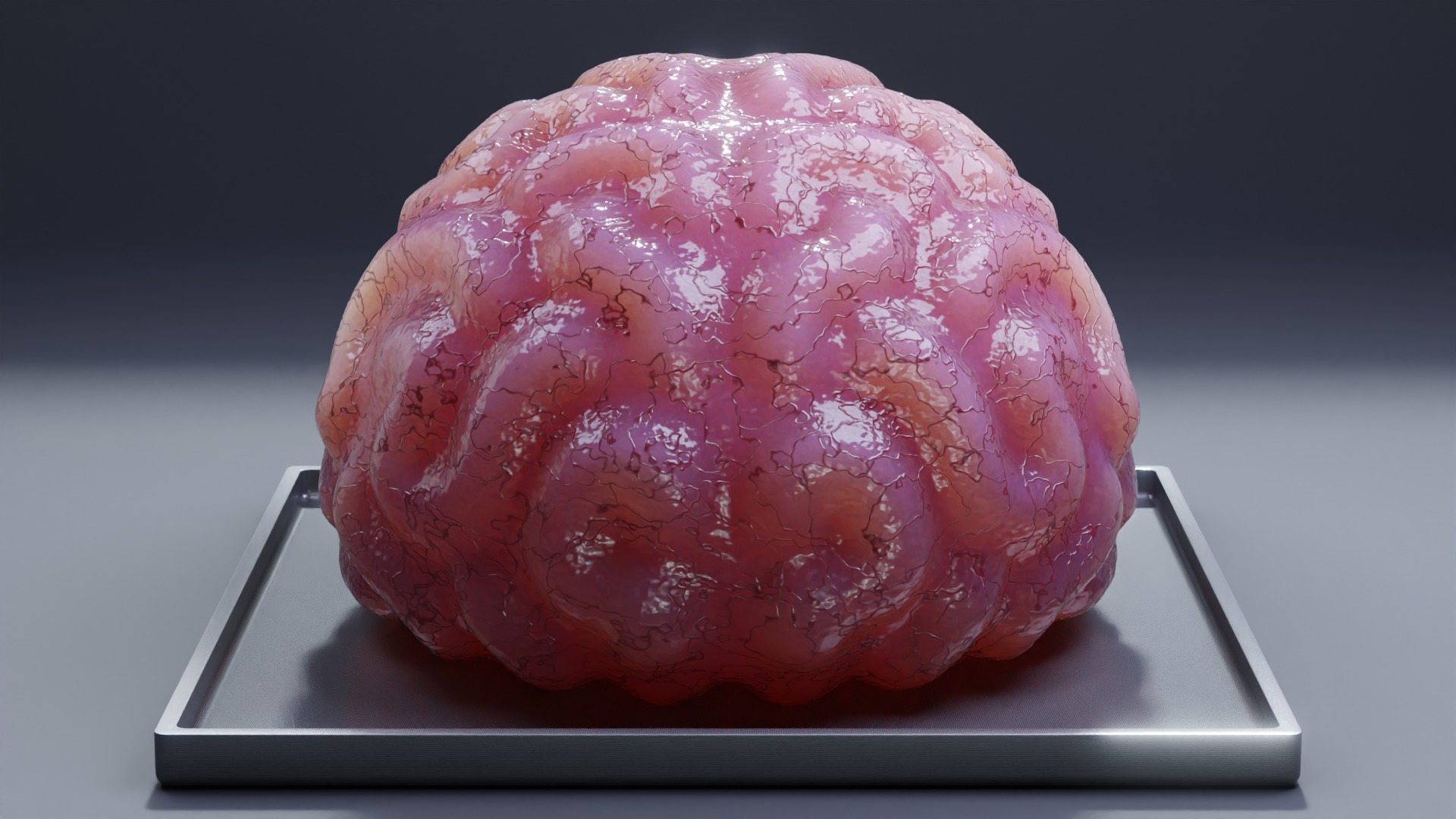 Stylized Human Brain - Project File Blender 3D model_4