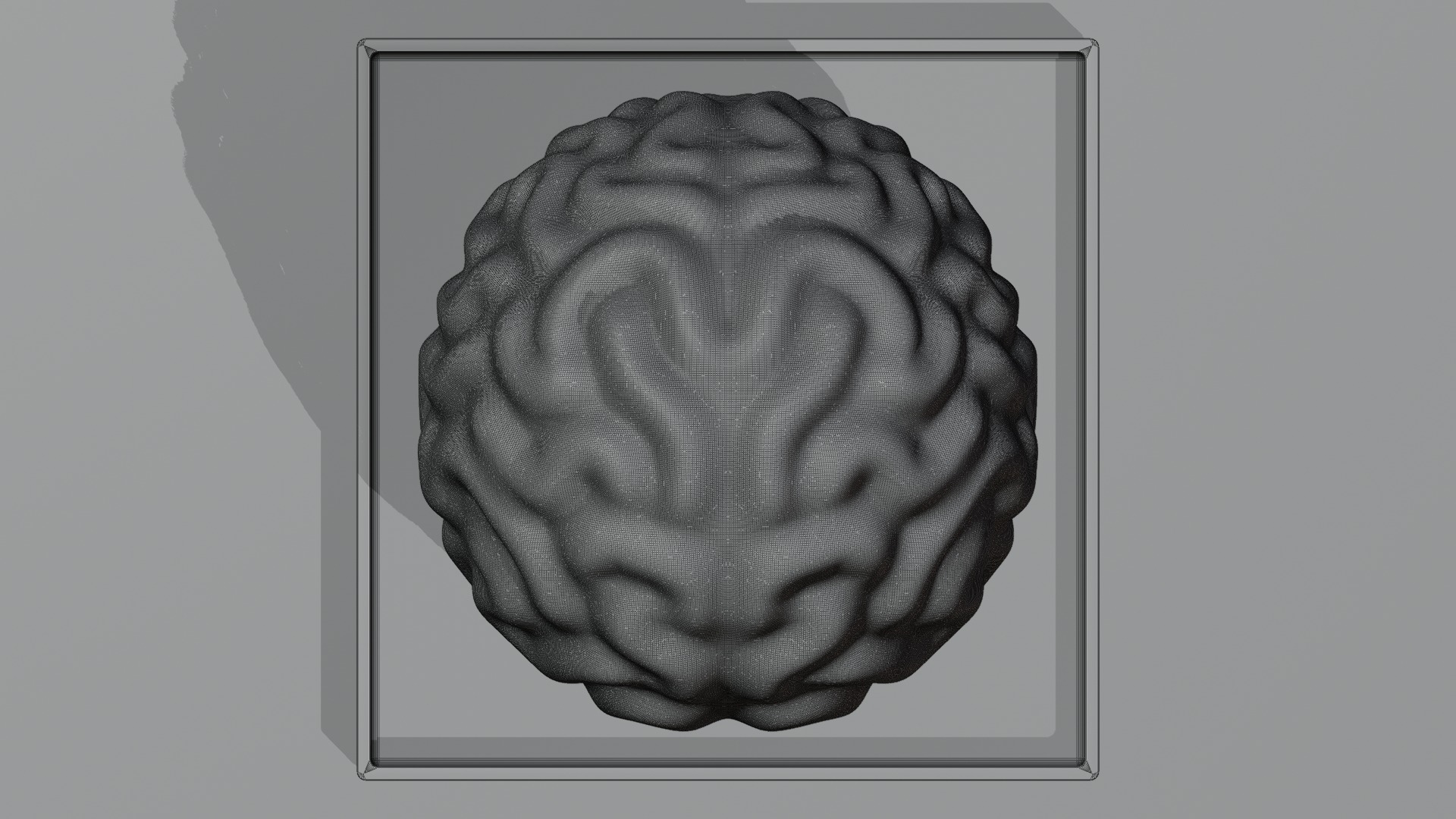 Stylized Human Brain - Project File Blender 3D model_24