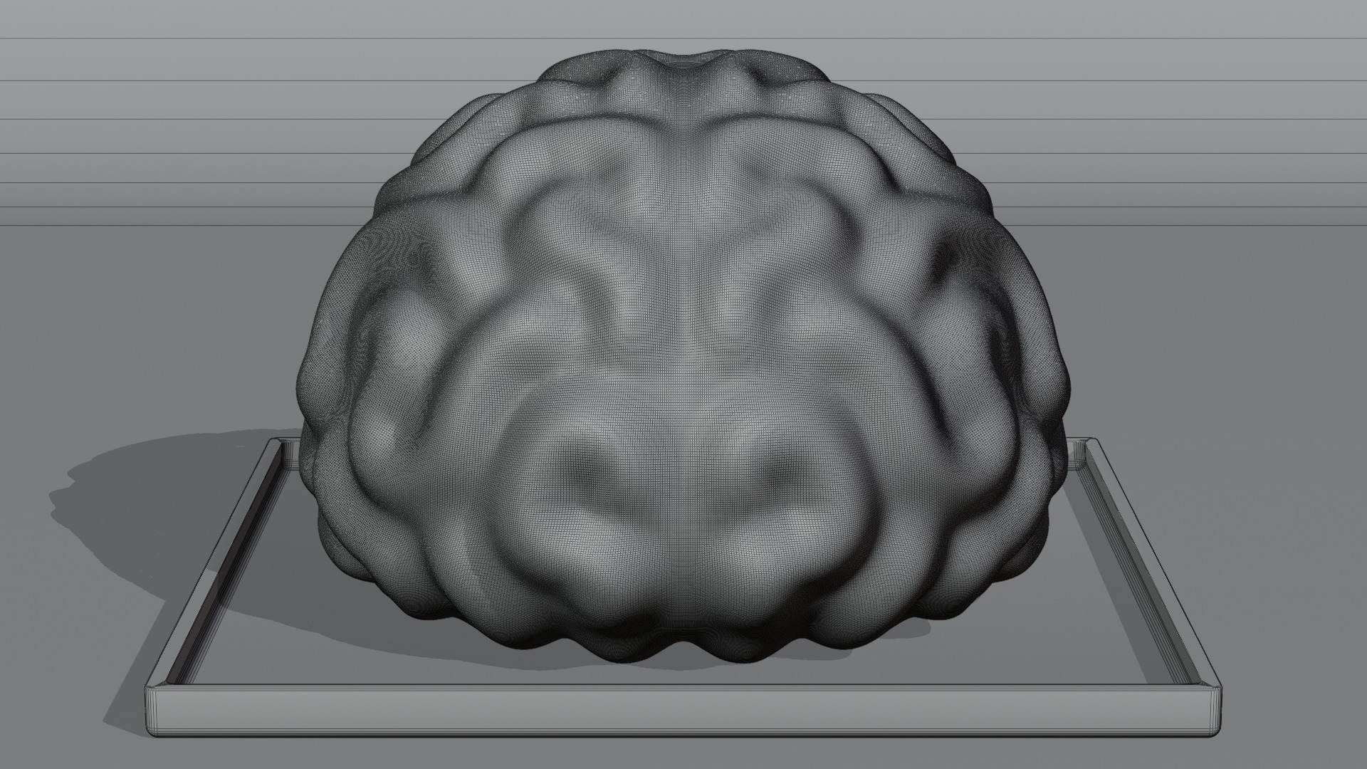 Stylized Human Brain - Project File Blender 3D model_22