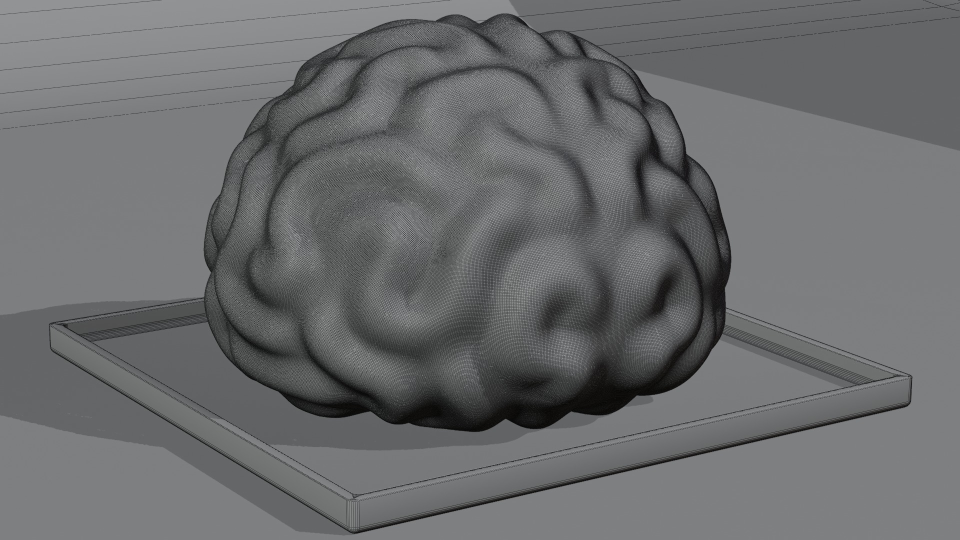 Stylized Human Brain - Project File Blender 3D model_21