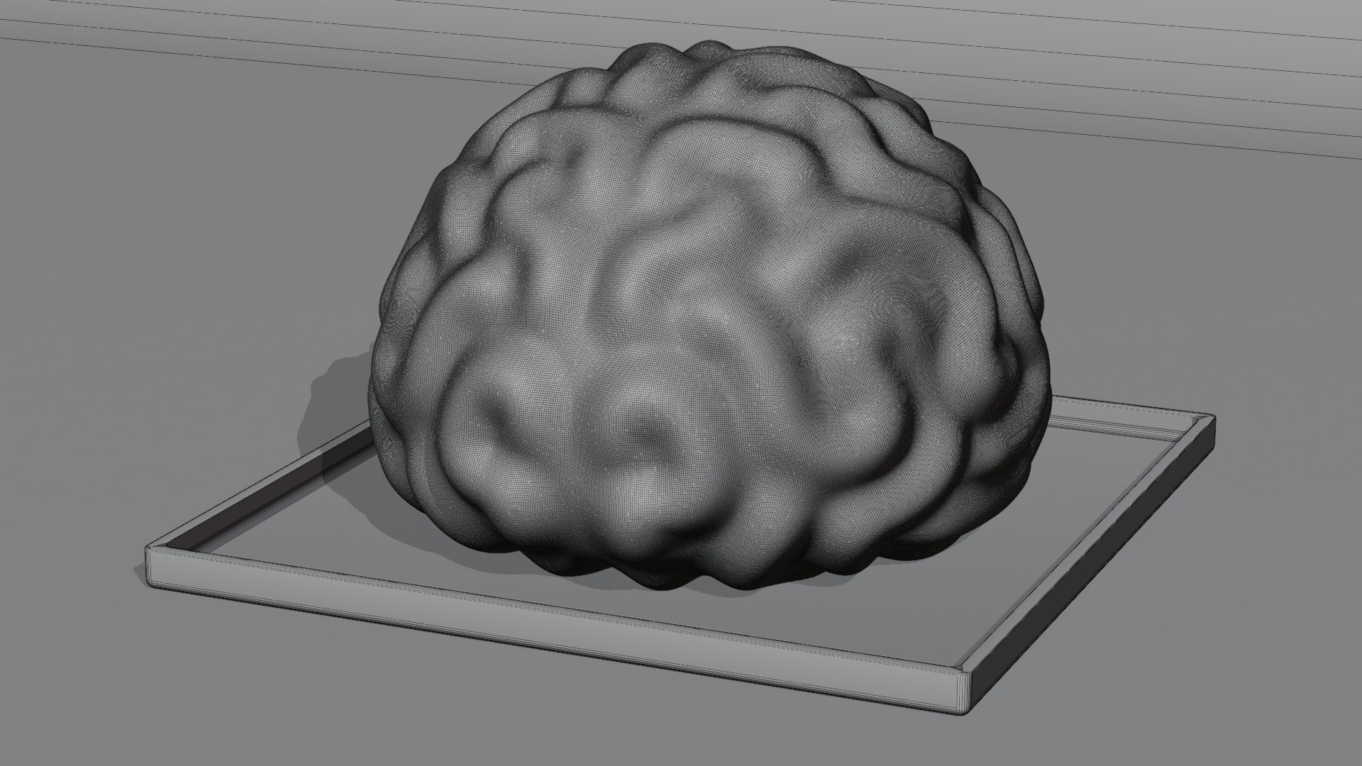 Stylized Human Brain - Project File Blender 3D model_27