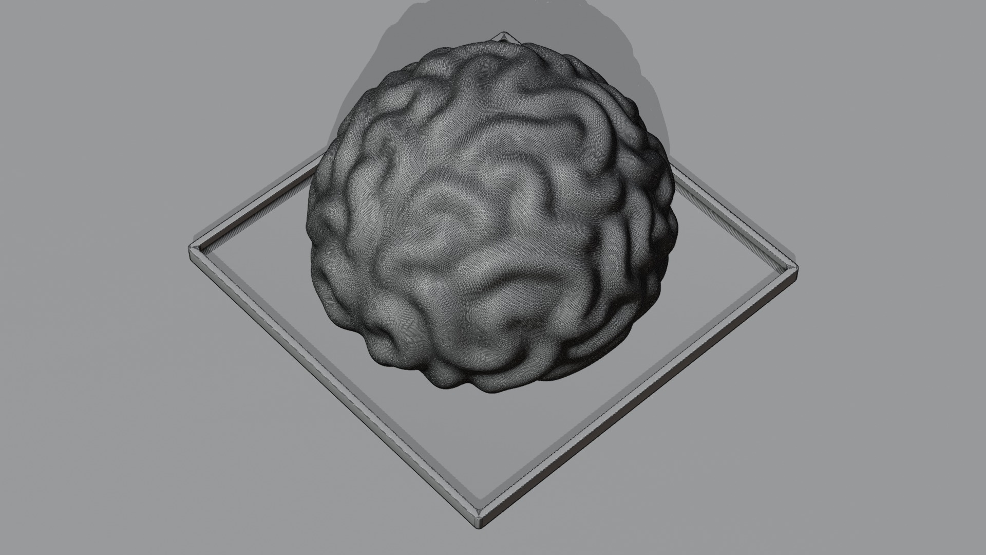 Stylized Human Brain - Project File Blender 3D model_26