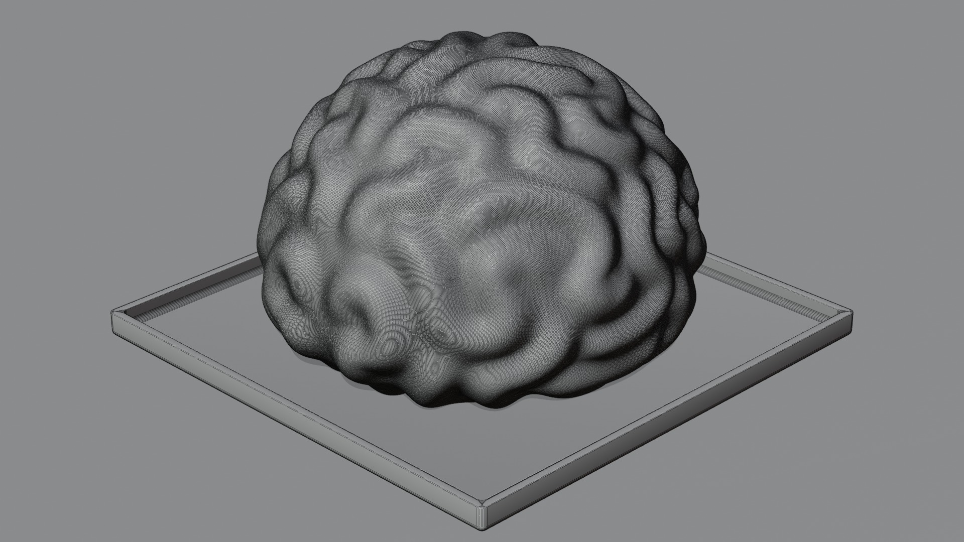 Stylized Human Brain - Project File Blender 3D model_20