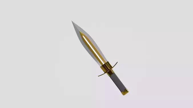 Dagger model