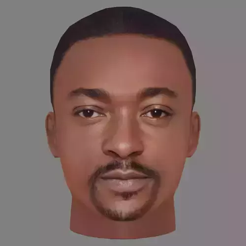 Anthony Mackie Head - Low poly head for game