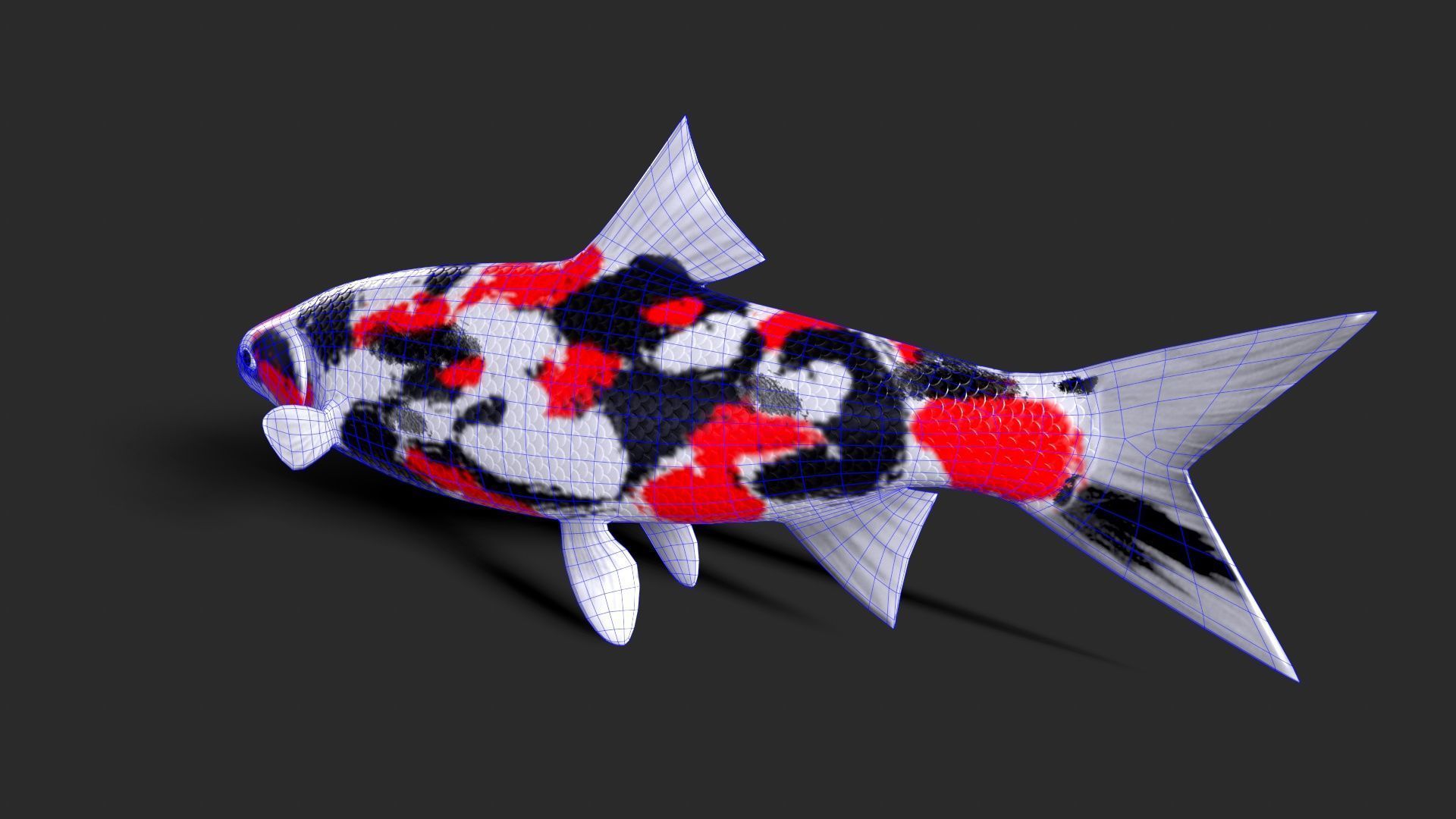 fish animals Low-poly 3D model_6