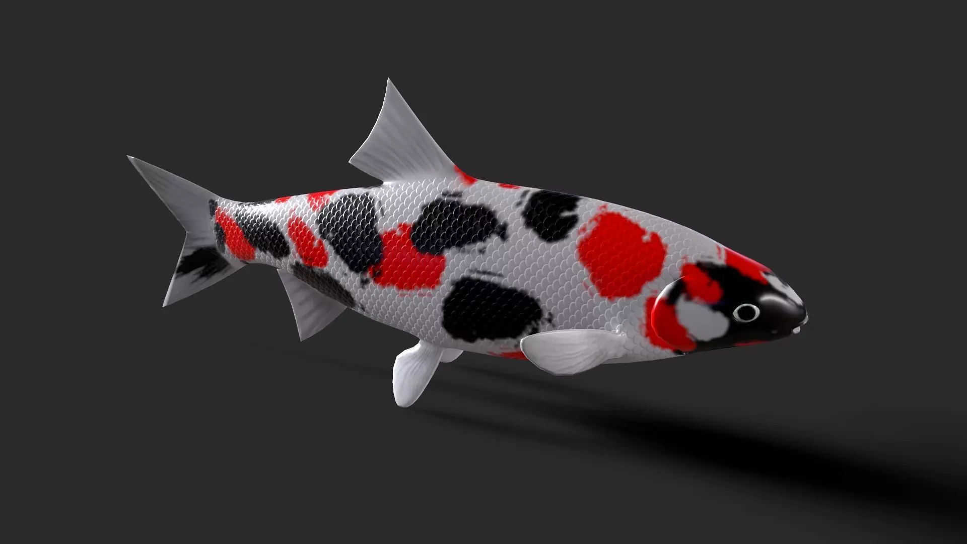 fish animals Low-poly 3D model_0