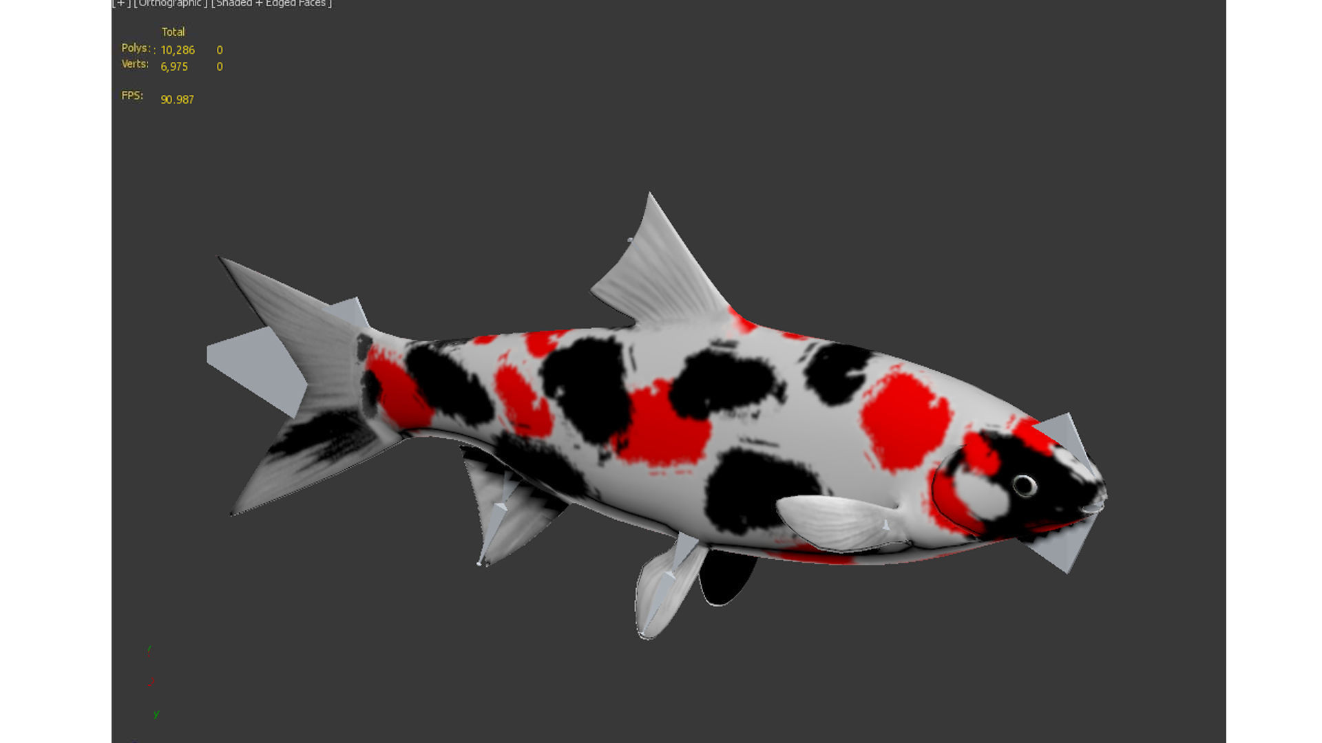 fish animals Low-poly 3D model_8