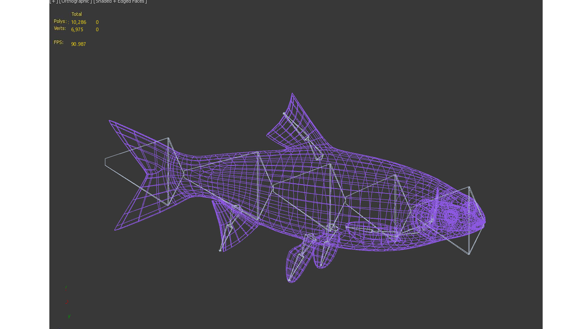 fish animals Low-poly 3D model_11
