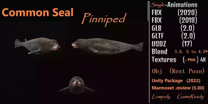 Common Seal Low-poly 3D model