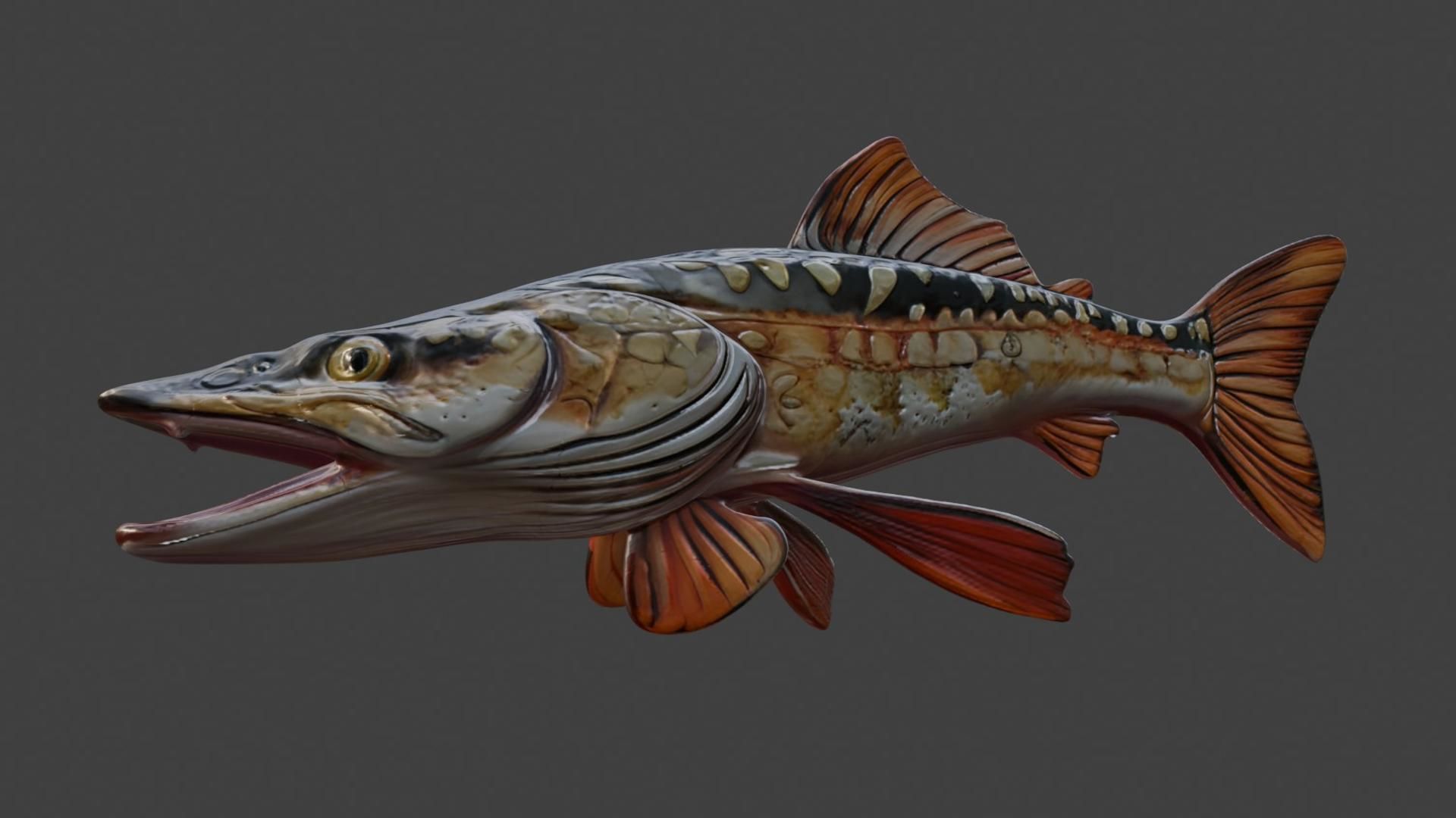 Trophy Fish Pike 2 3D model_4
