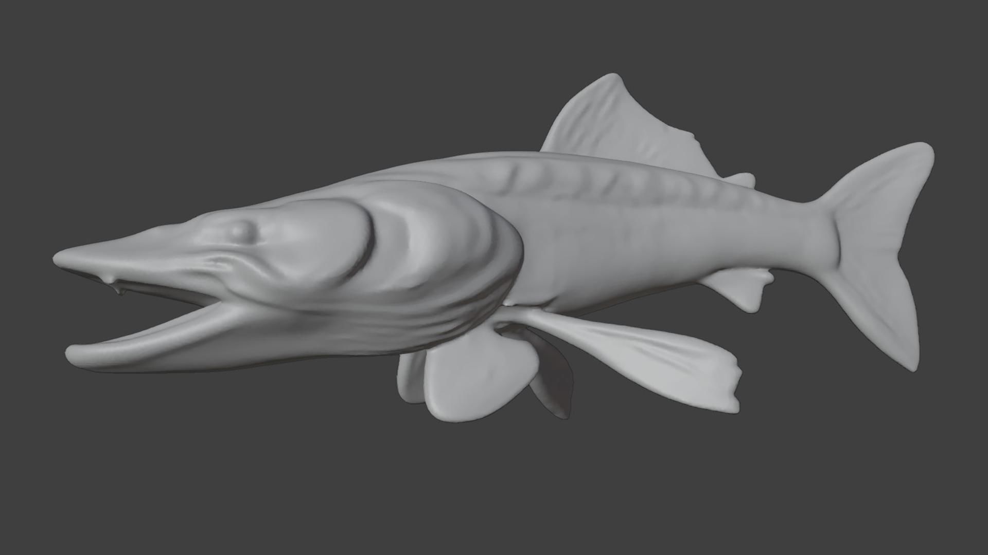 Trophy Fish Pike 2 3D model_5